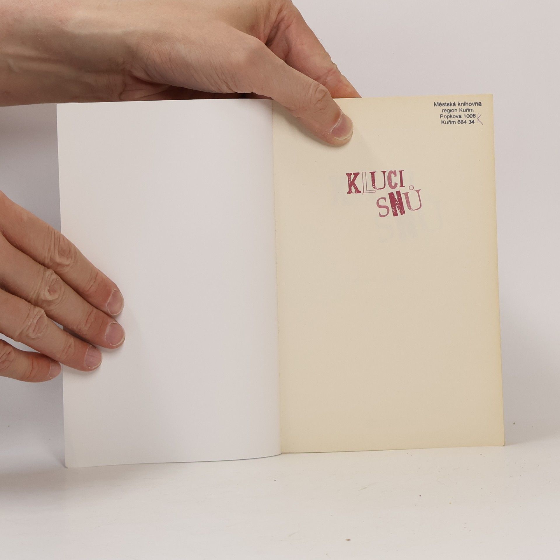 Anna Ludwig Láska s. r. o. – Kluci snů