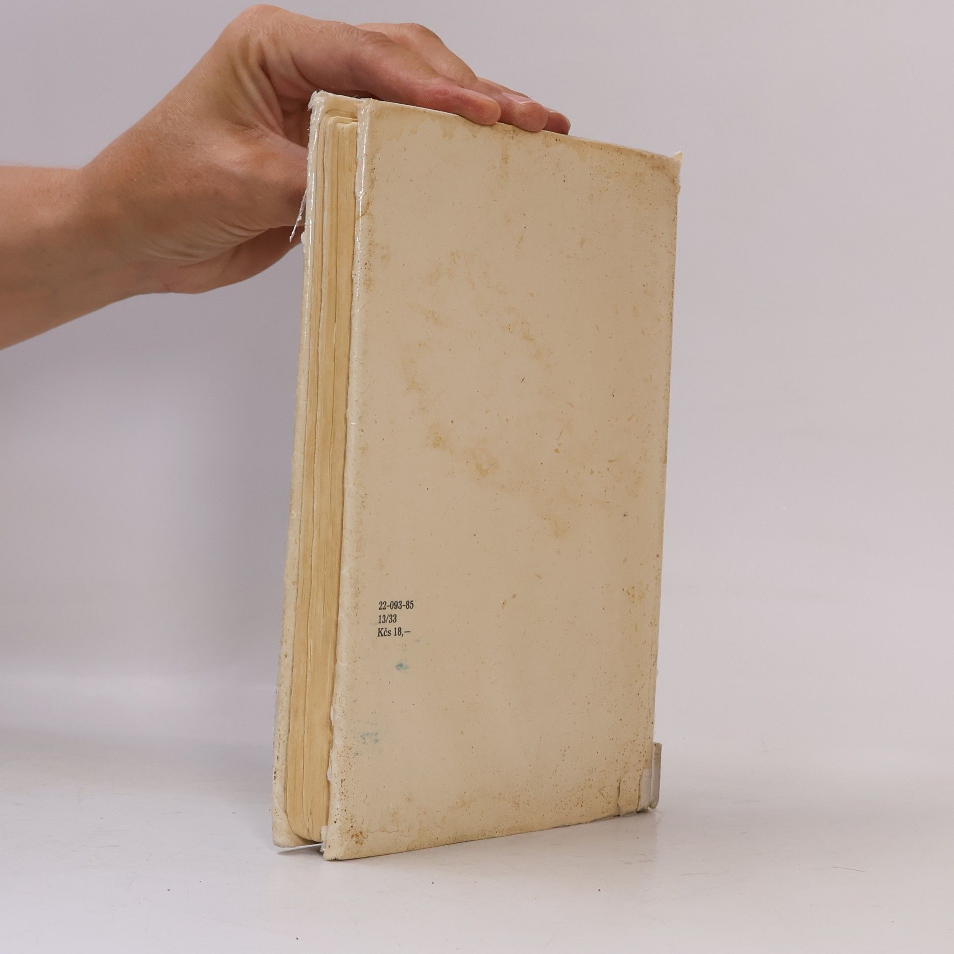 Ladislav Fuks Pan Theodor Mundstock