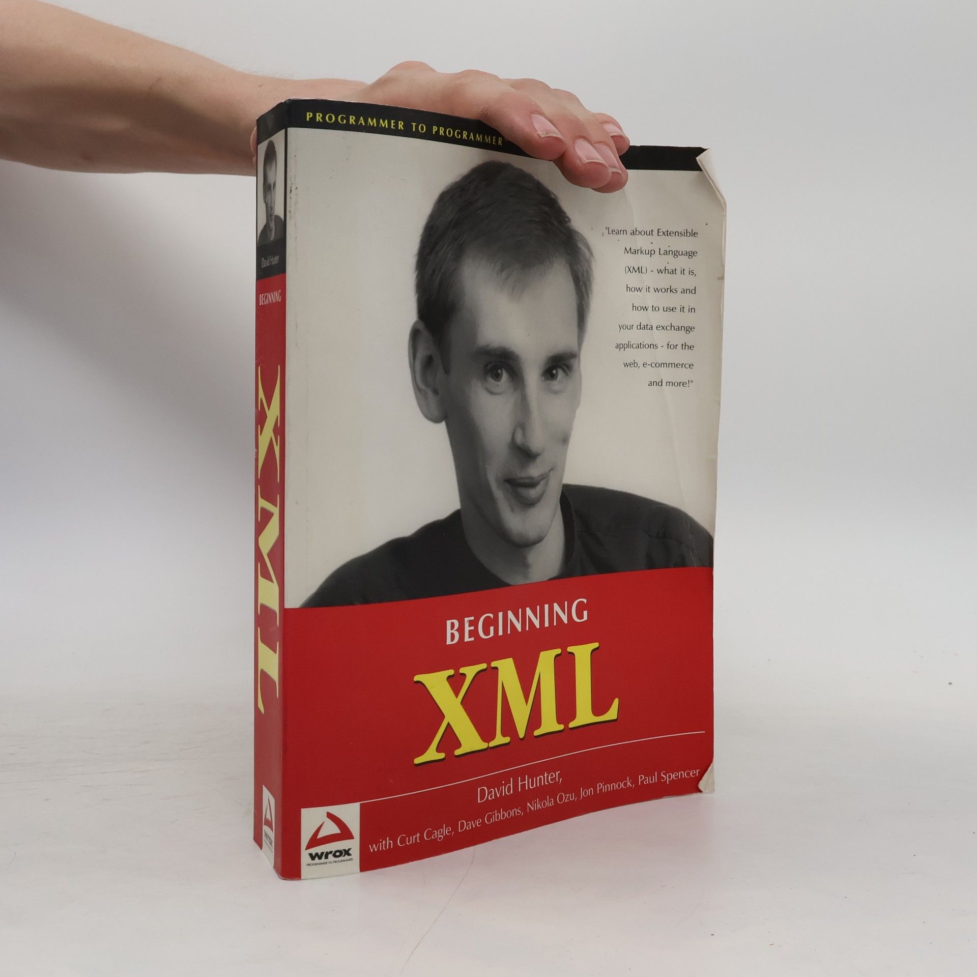 Programmer To Programmer: Beginning XML