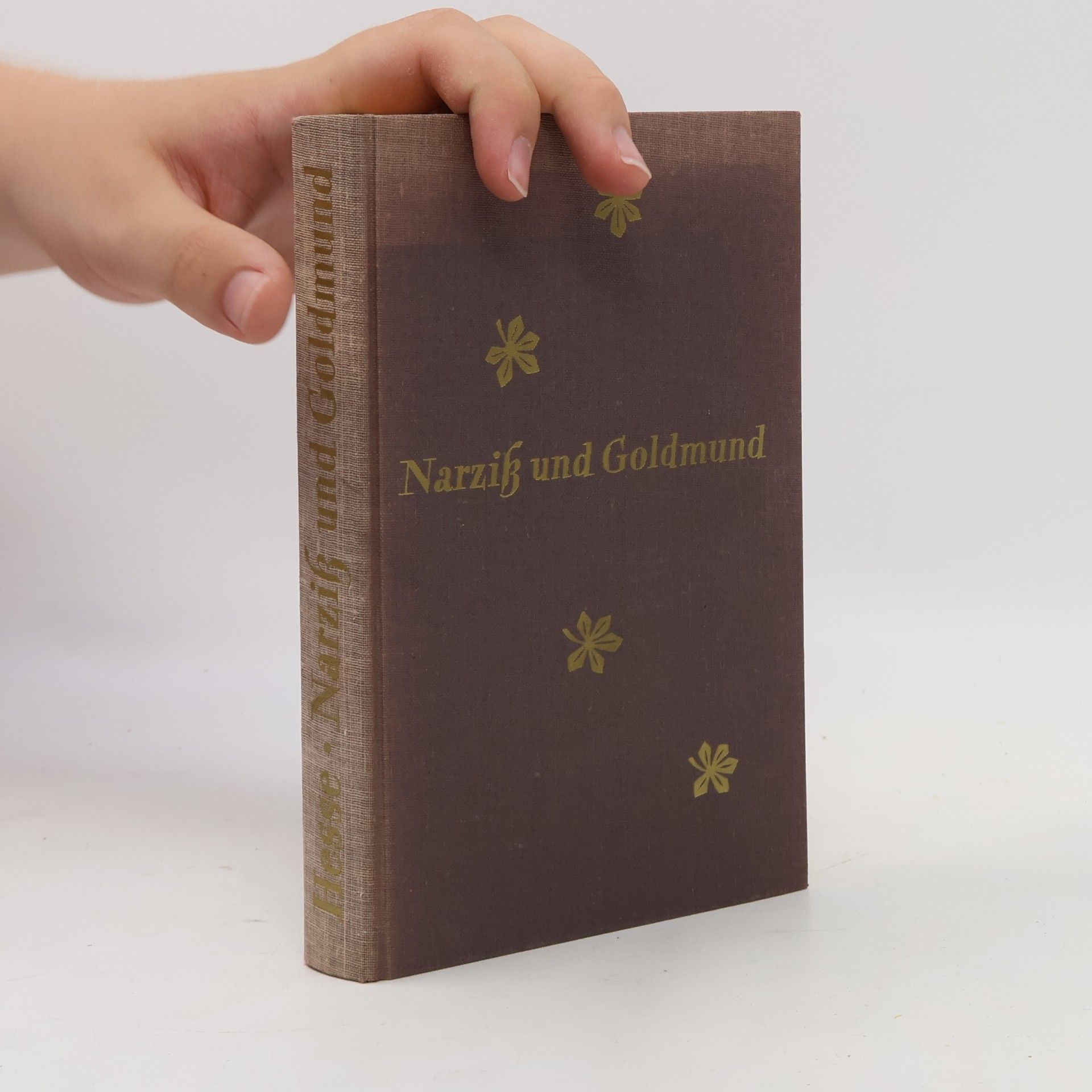Hermann Hesse Narziß und Goldmund