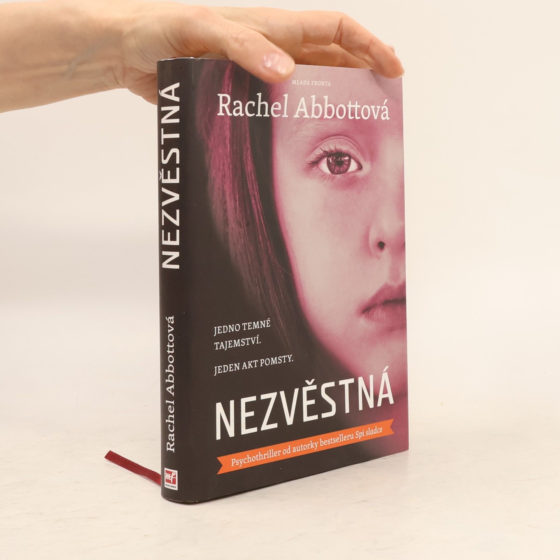 Rachel Abbott Nezvěstná