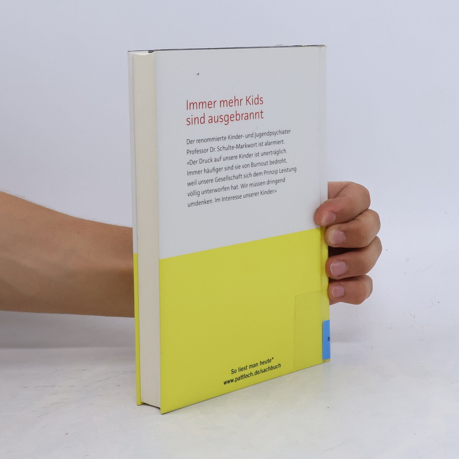 Michael Schulte Markwort Burnout-Kids
