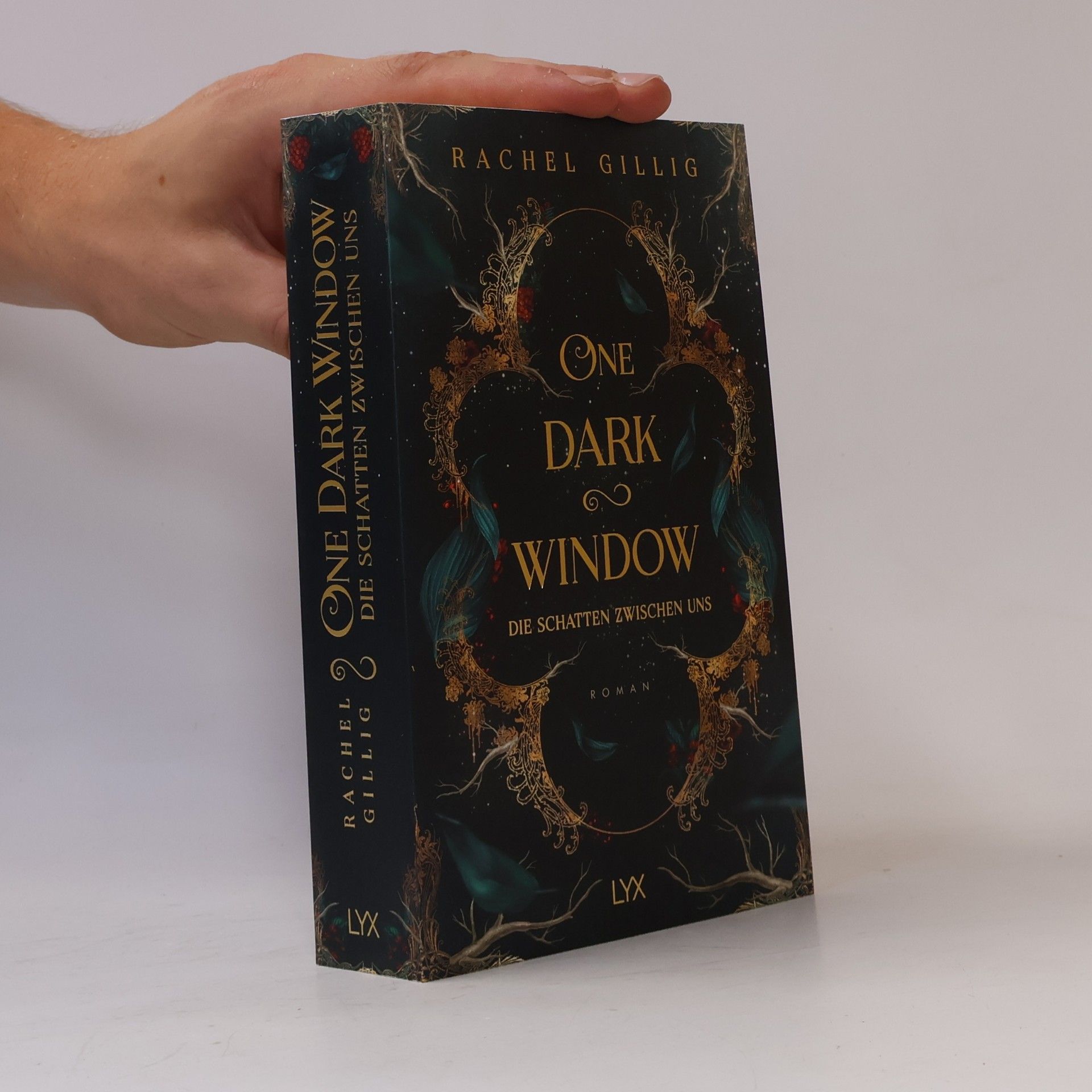 Rachel Gillig One Dark Window - Die Schatten zwischen uns
