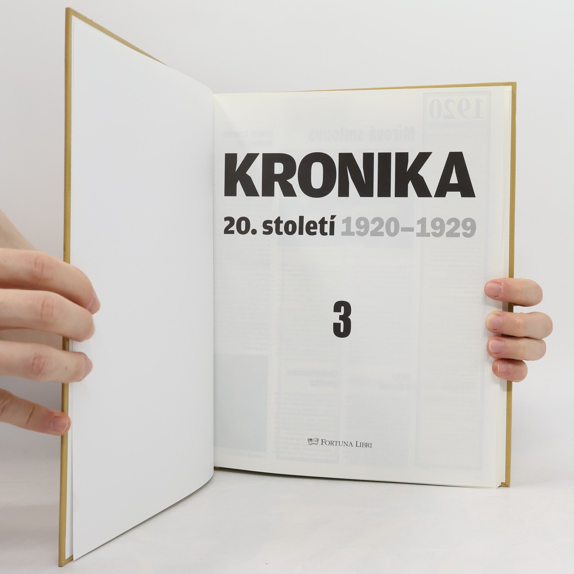 Autorenkollektiv Kronika 20.století 3. 1920-1929