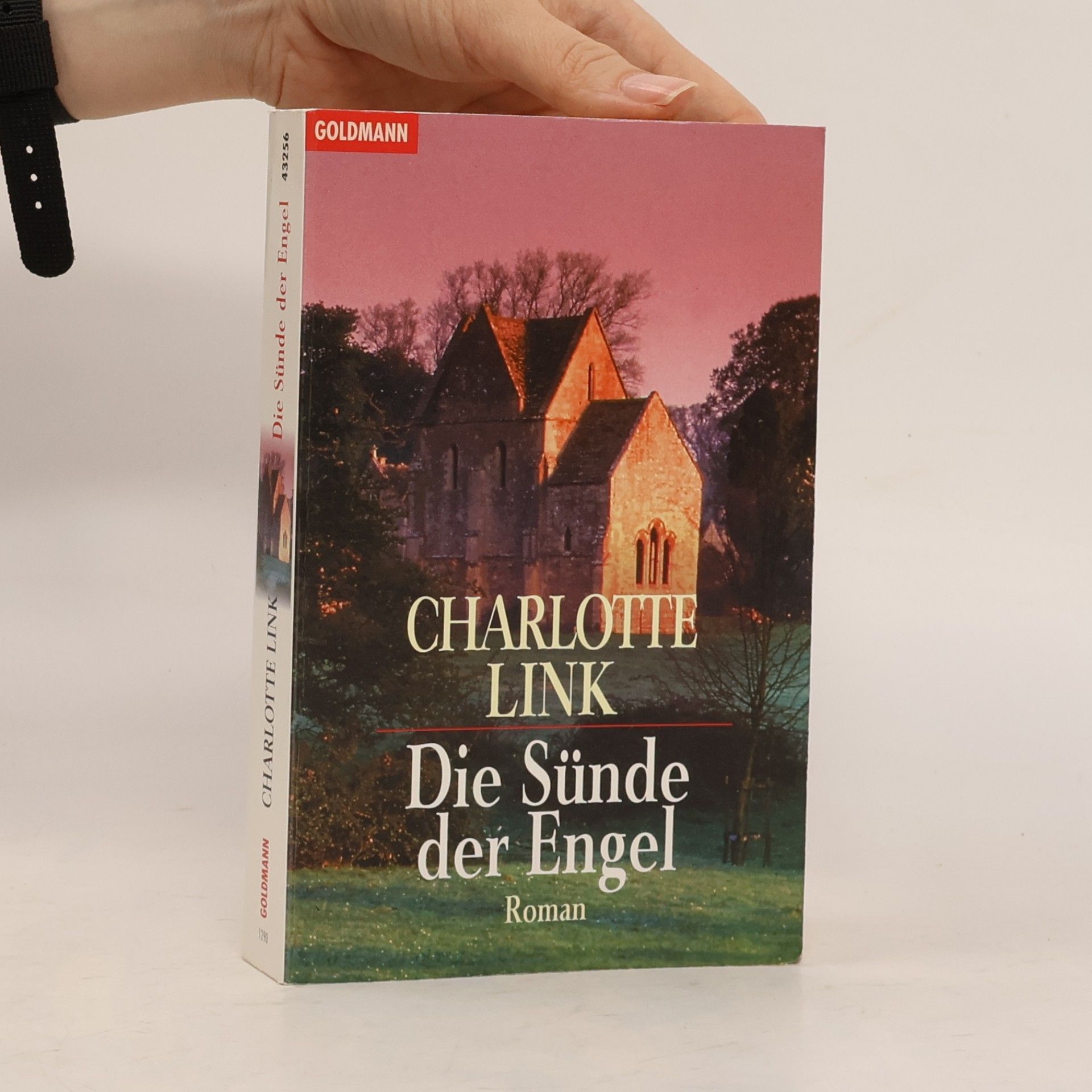 Charlotte Link Die Sünde der Engel