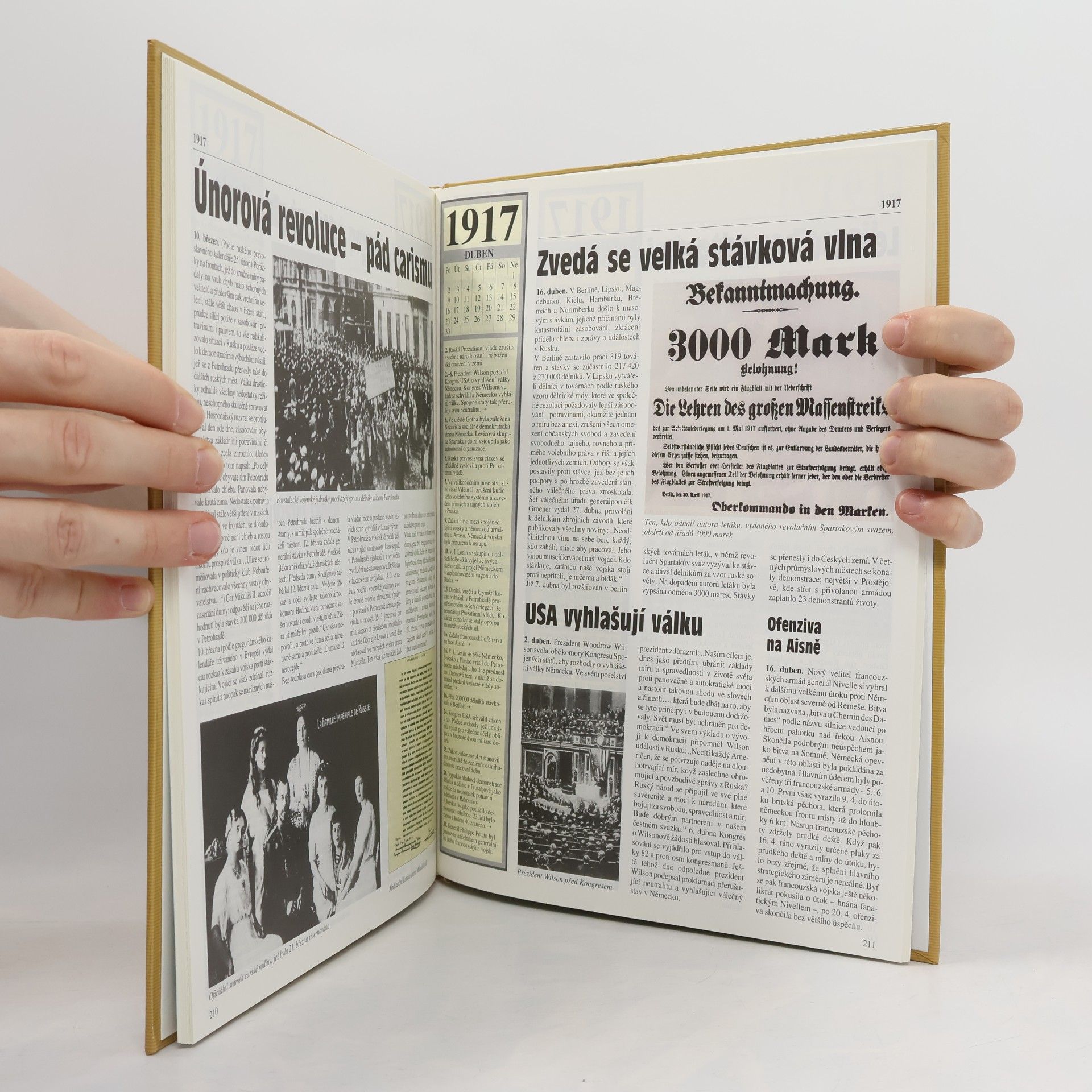 Autorenkollektiv Kronika 20. století 2. 1910-1919