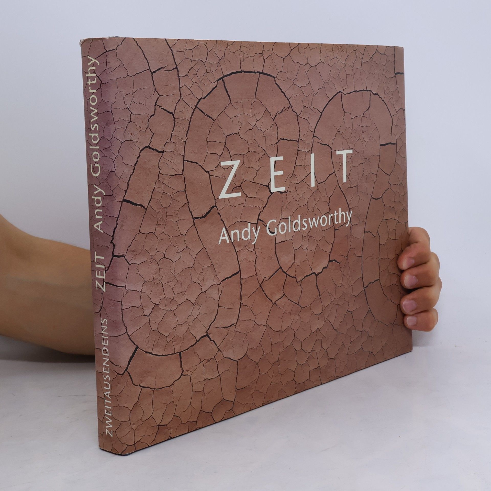 Andy Goldsworthy Zeit
