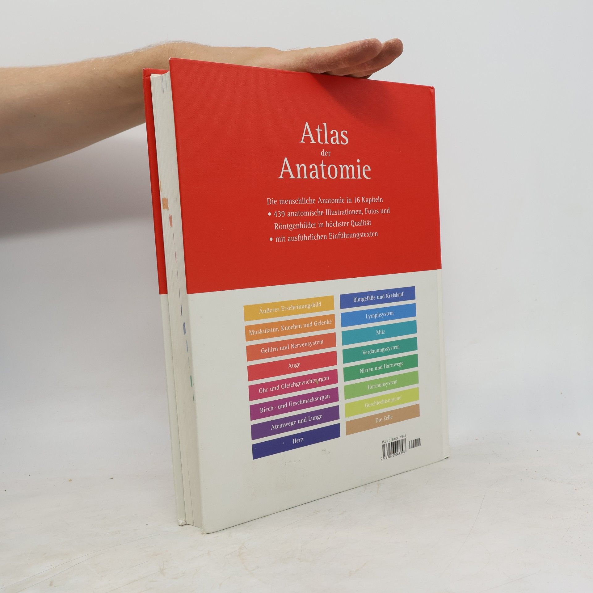 Barbara Weitz Atlas der Anatomie
