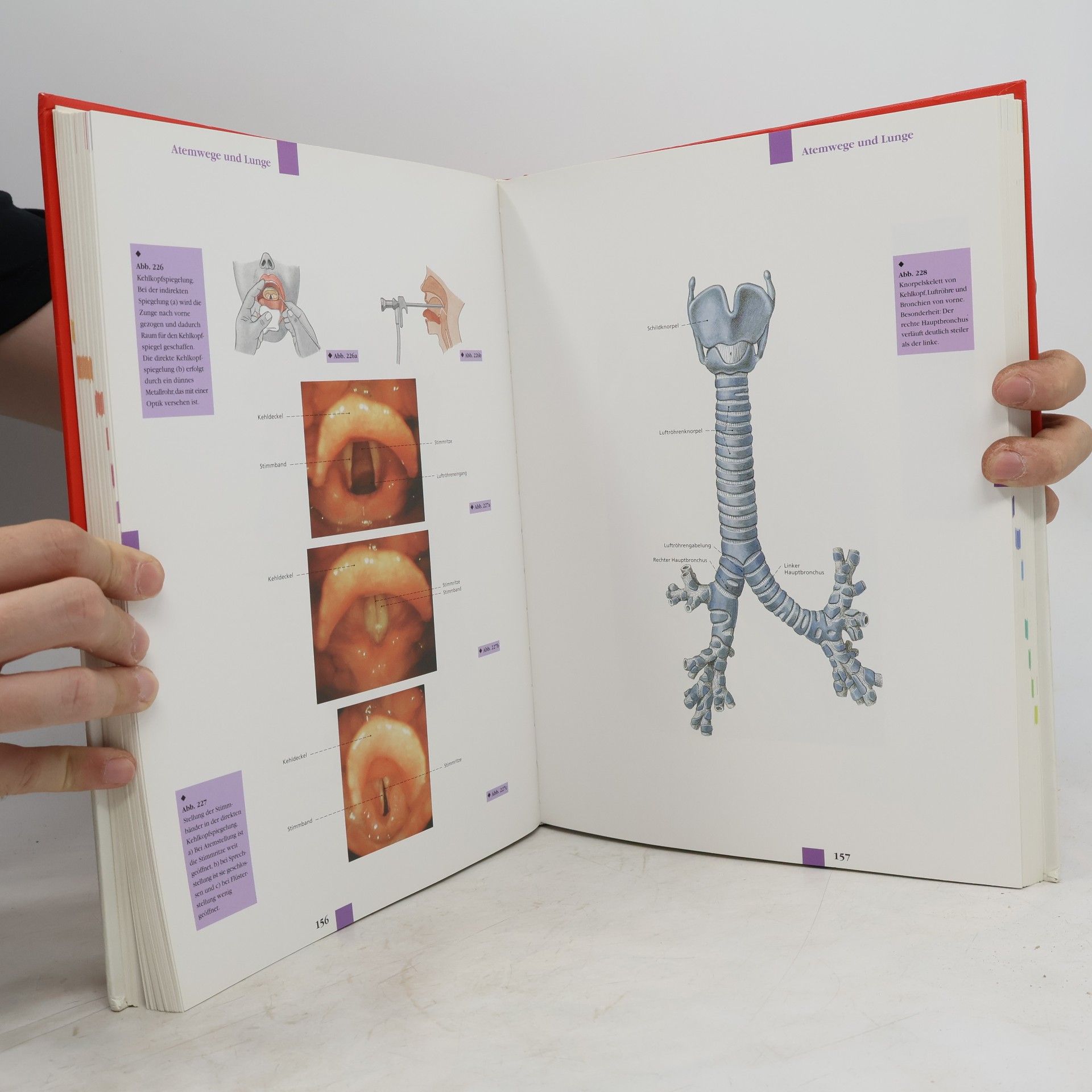 Barbara Weitz Atlas der Anatomie