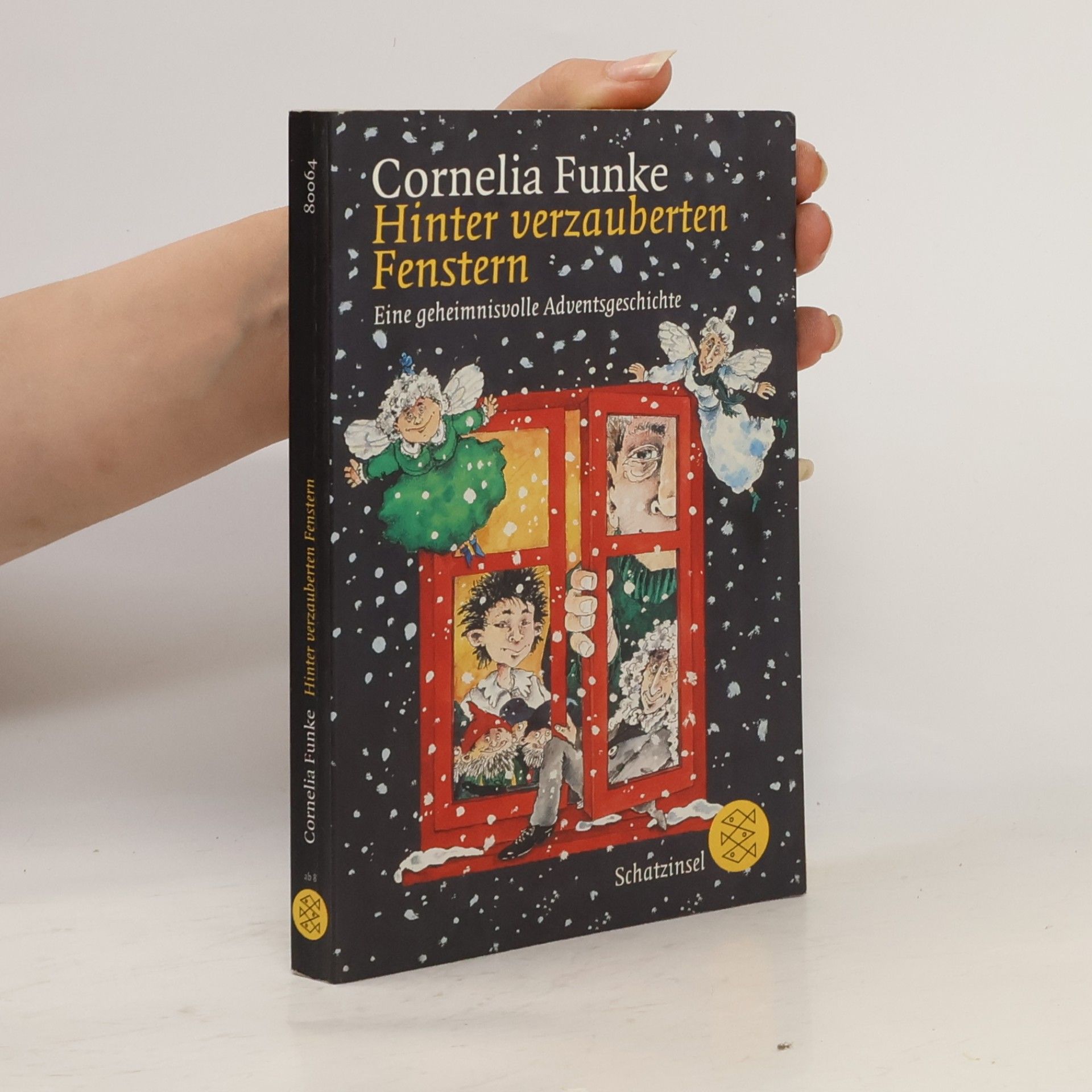 Cornelia Funke Hinter verzauberten Fenstern
