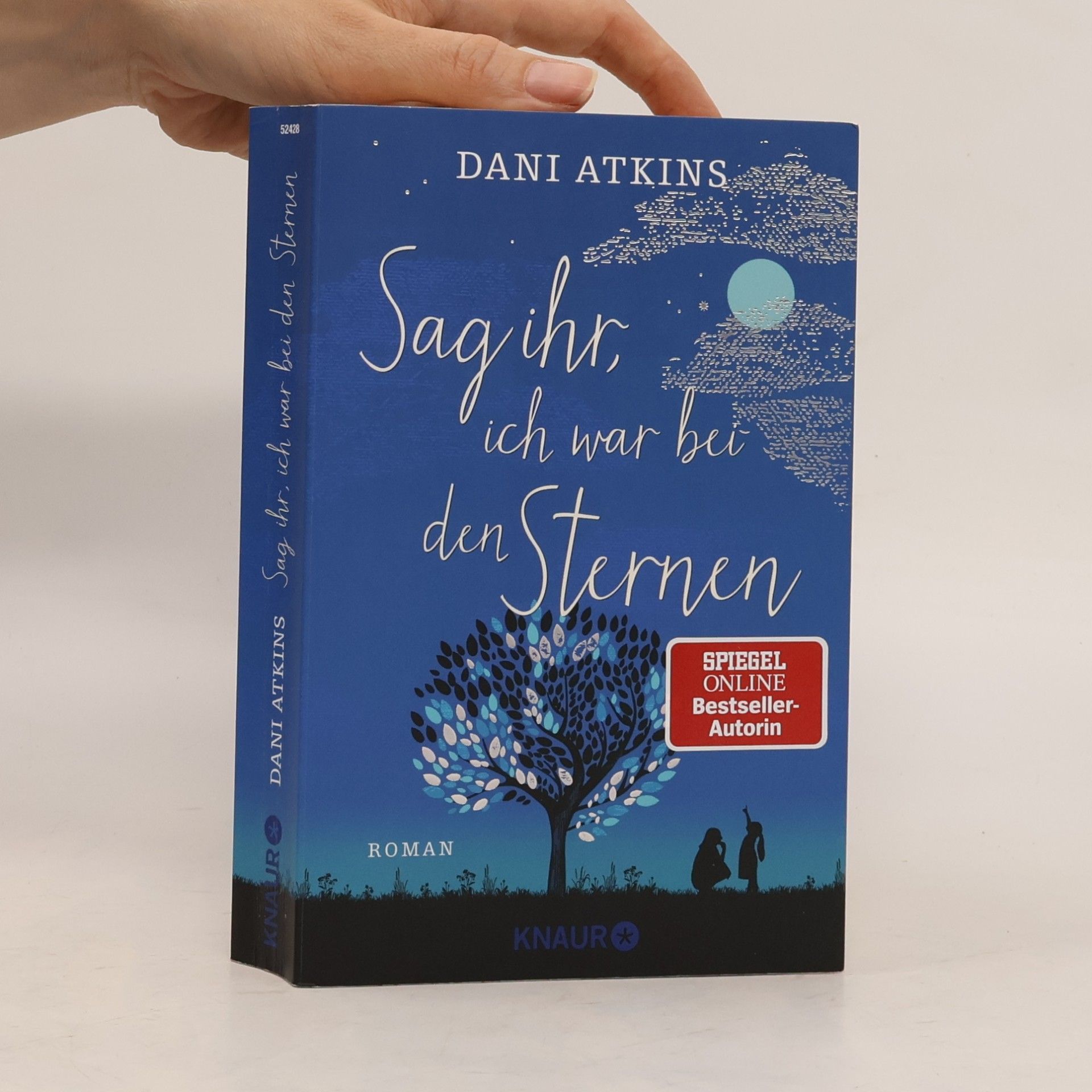 Dani Atkins Sag ihr, ich war bei den Sternen