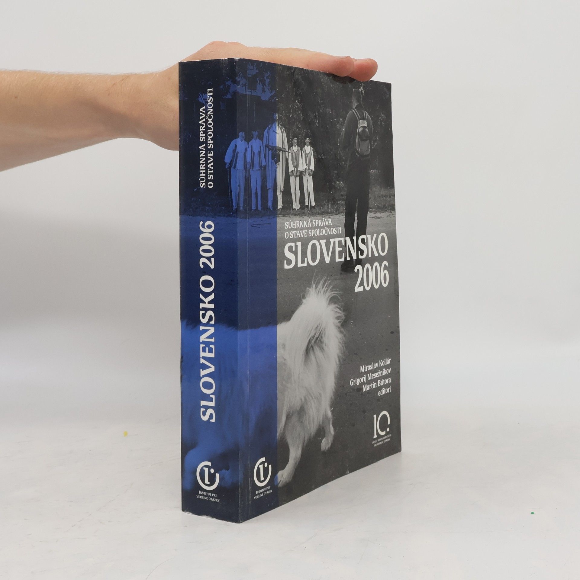 Súhrnná správa o stave spoločnosti. Slovensko 2006