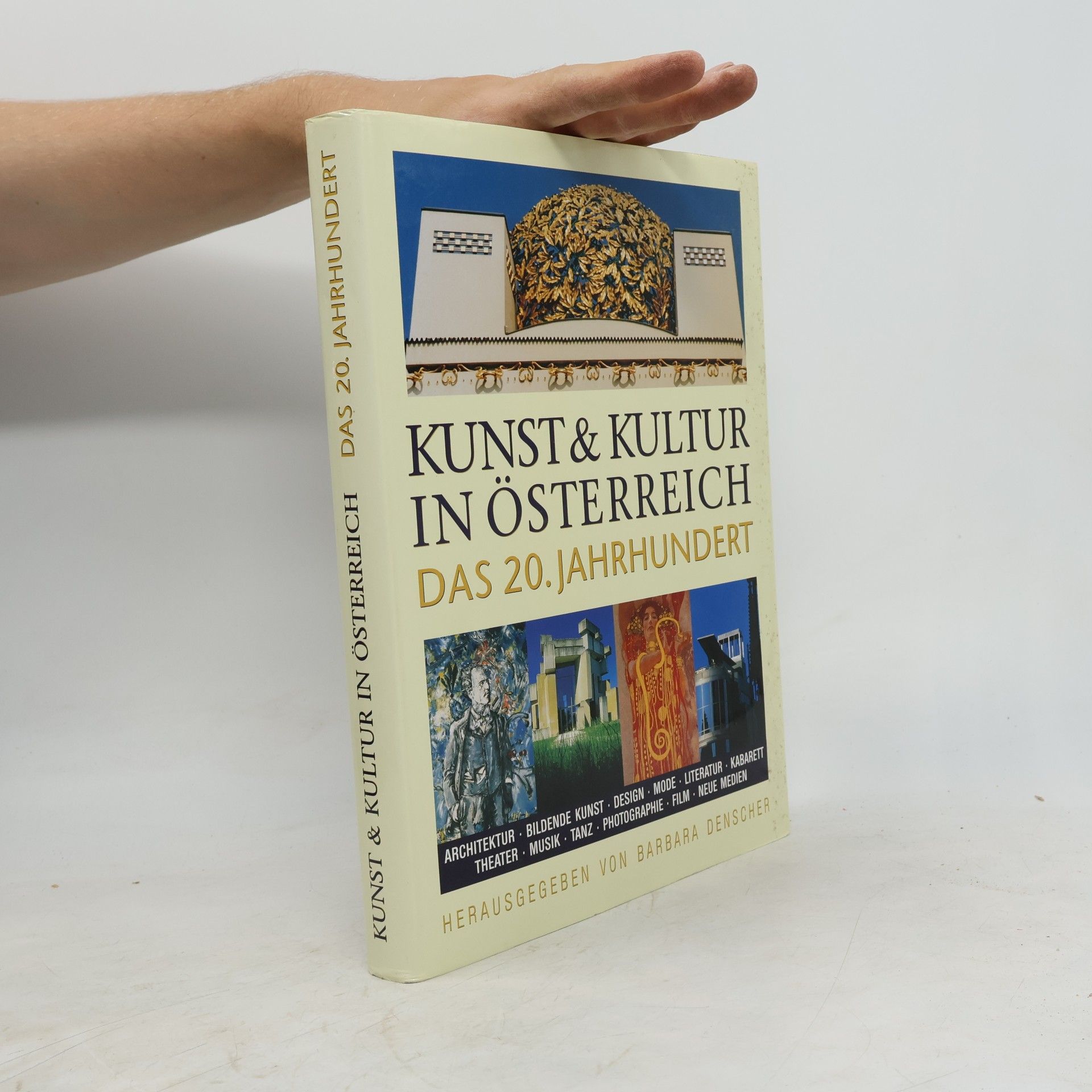 Barbara Denscher Kunst & Kultur in Österreich das 20. Jahrhundert