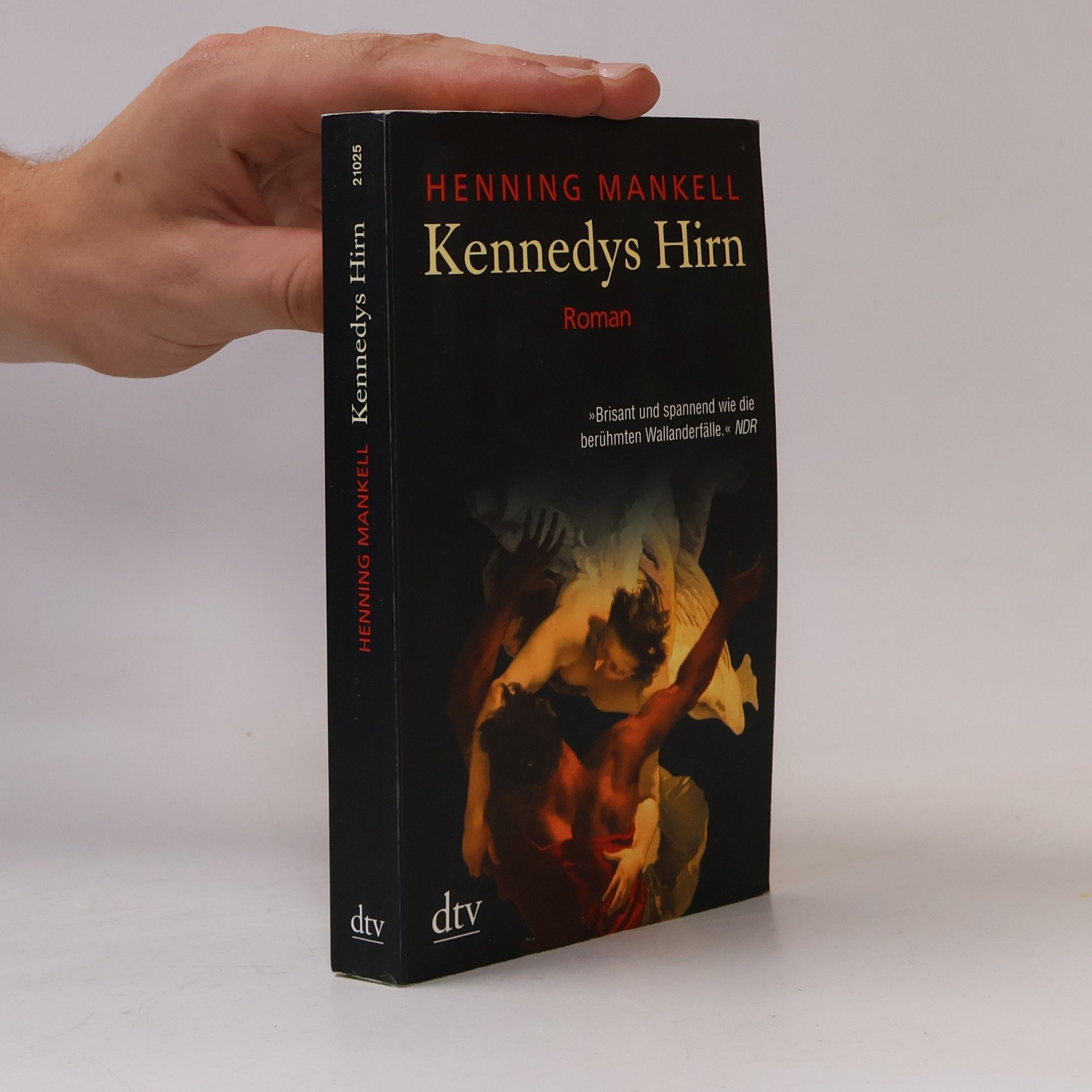 Henning Mankell Kennedys Hirn