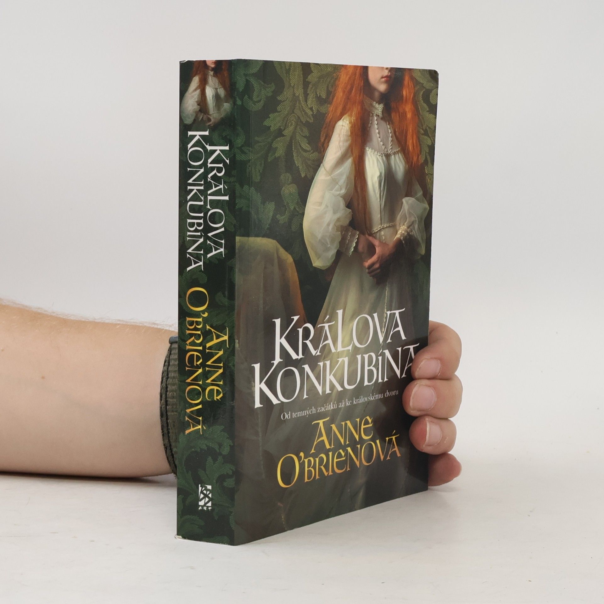 Anne O. Brien Králova konkubína