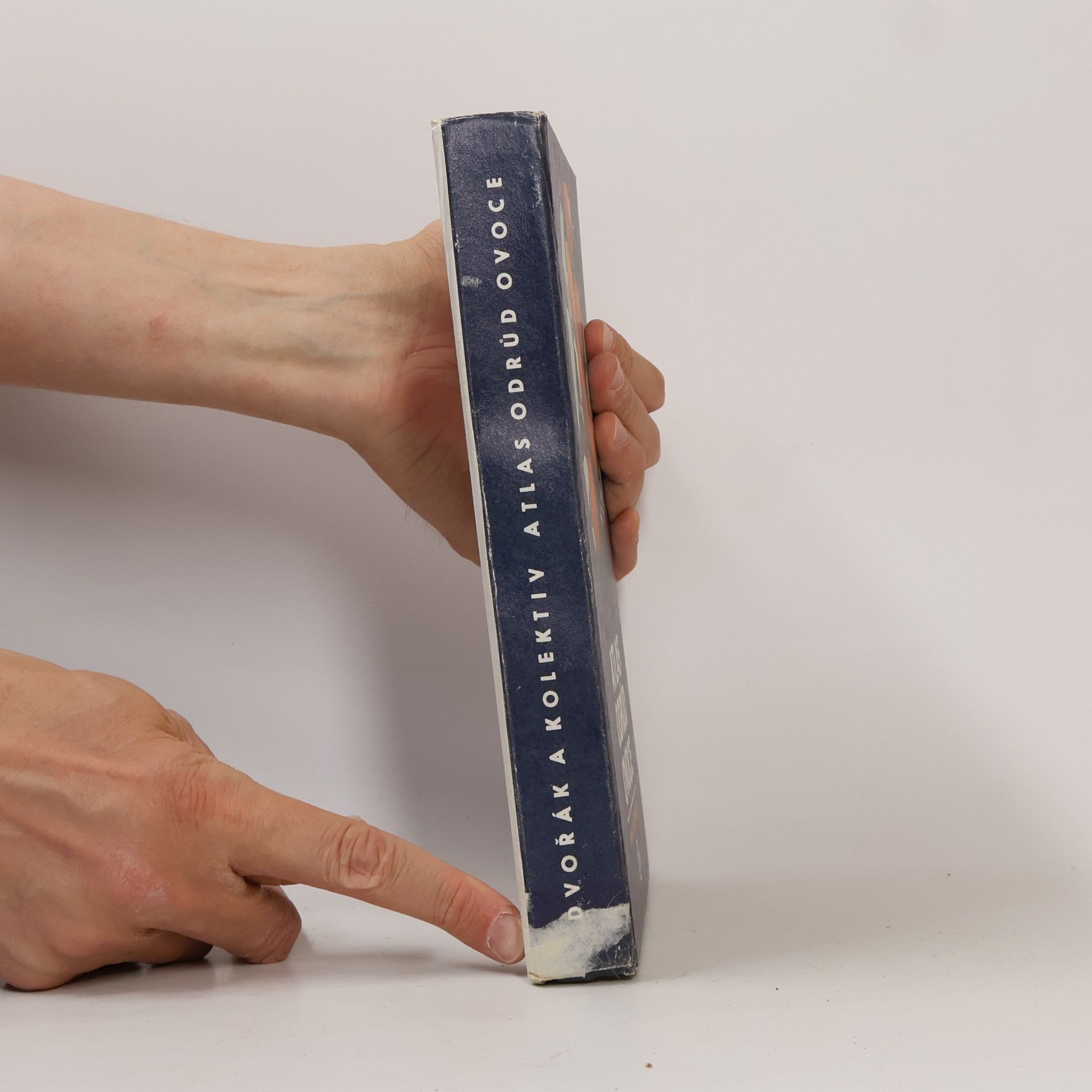 Antonín Dvořák Atlas odrůd ovoce