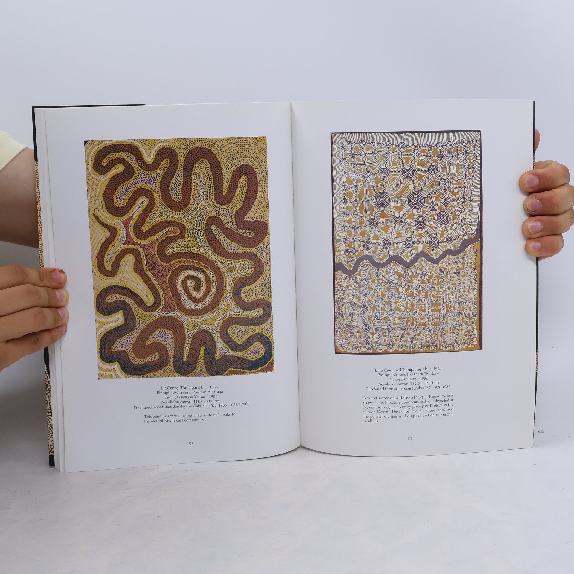 Judith Ryan Mythscapes