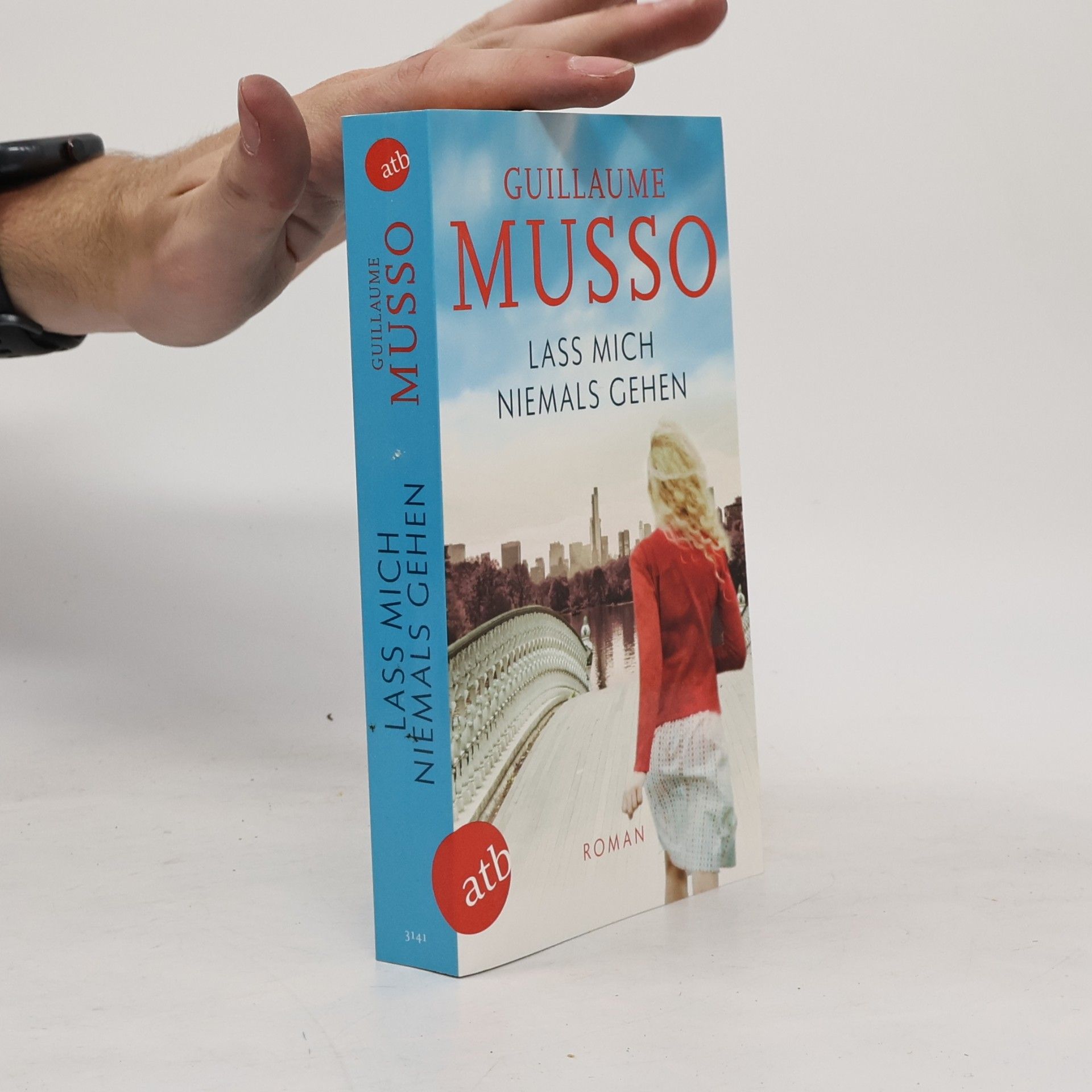 Guillaume Musso Lass mich niemals gehen
