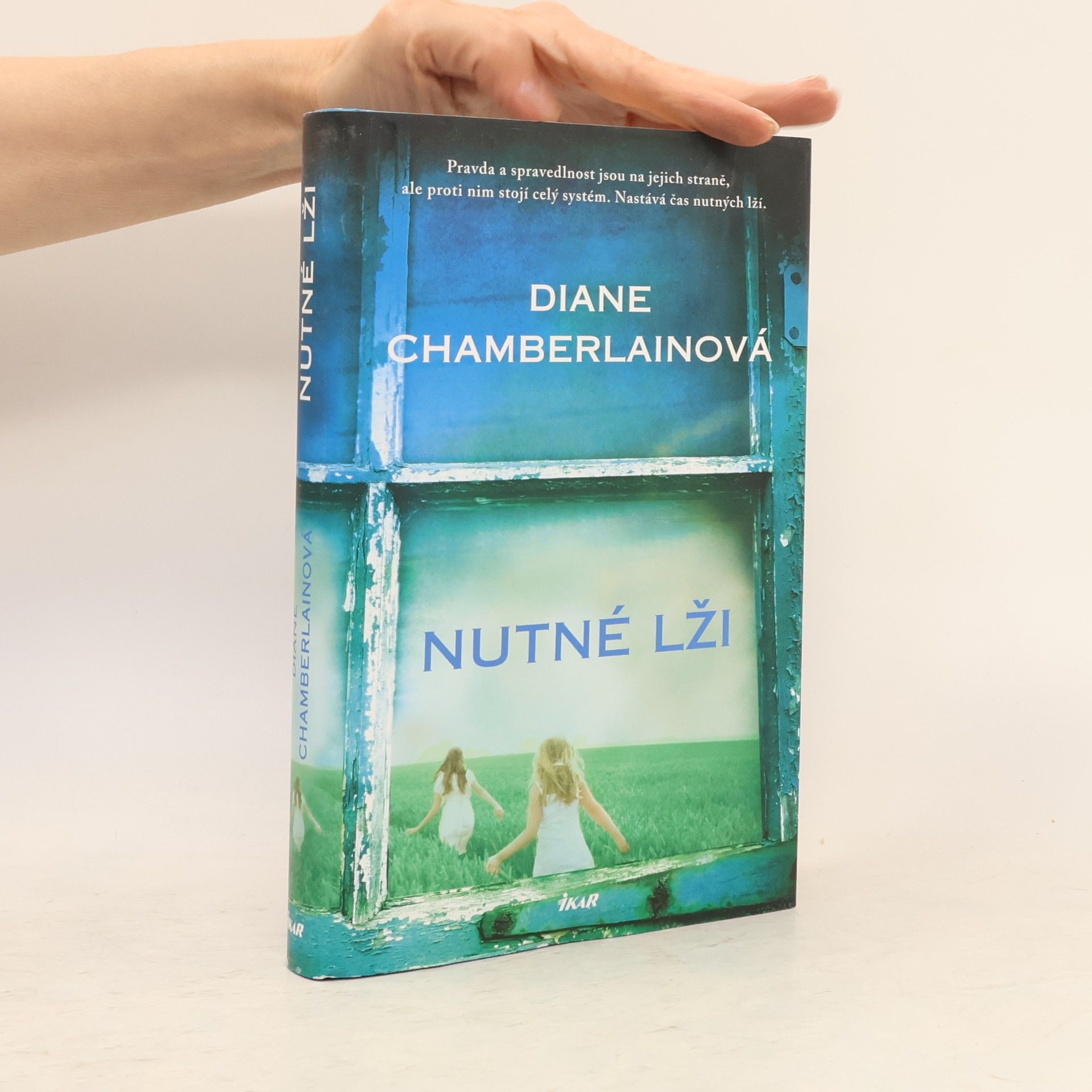 Diane Chamberlain Nutné lži
