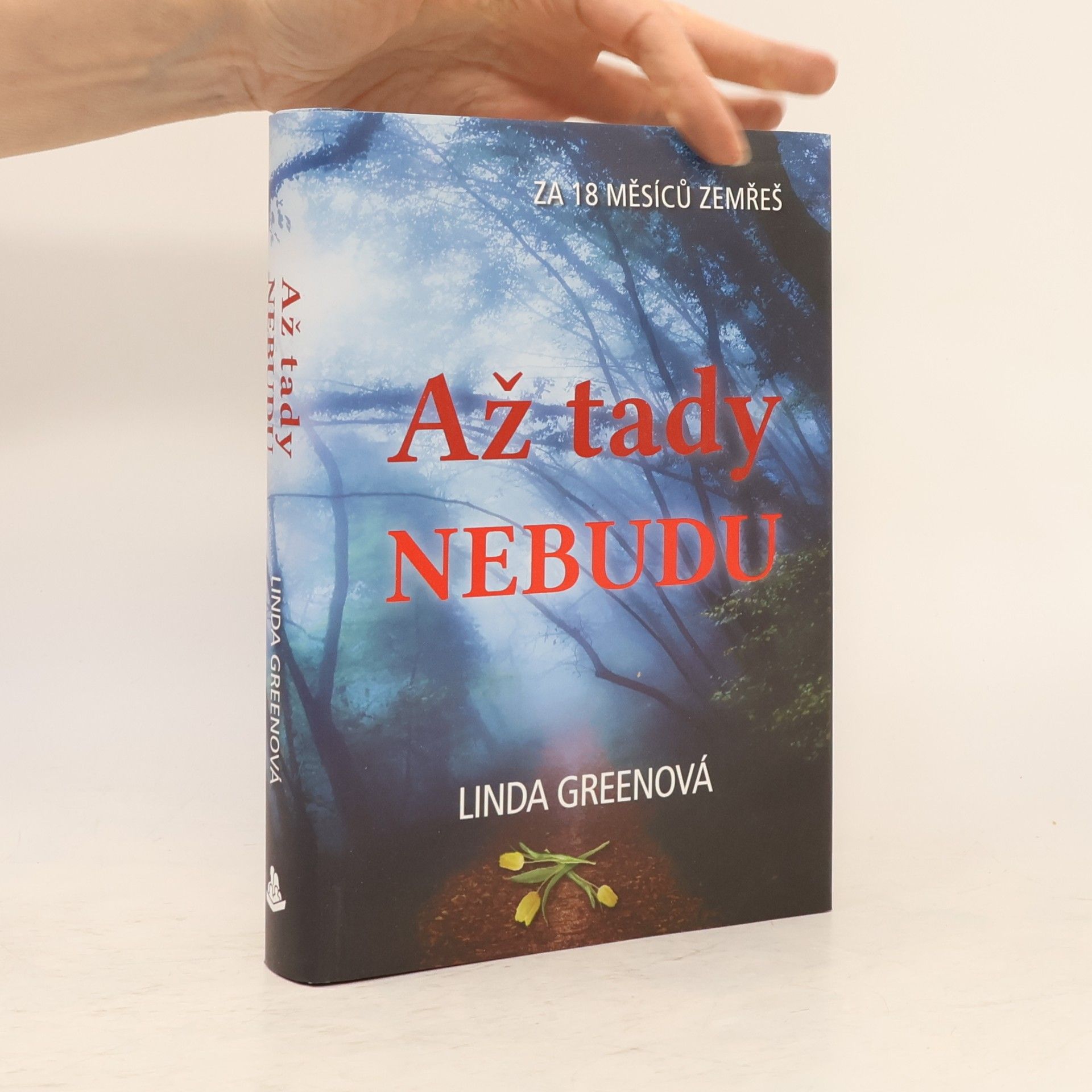 Linda Green Až tady nebudu