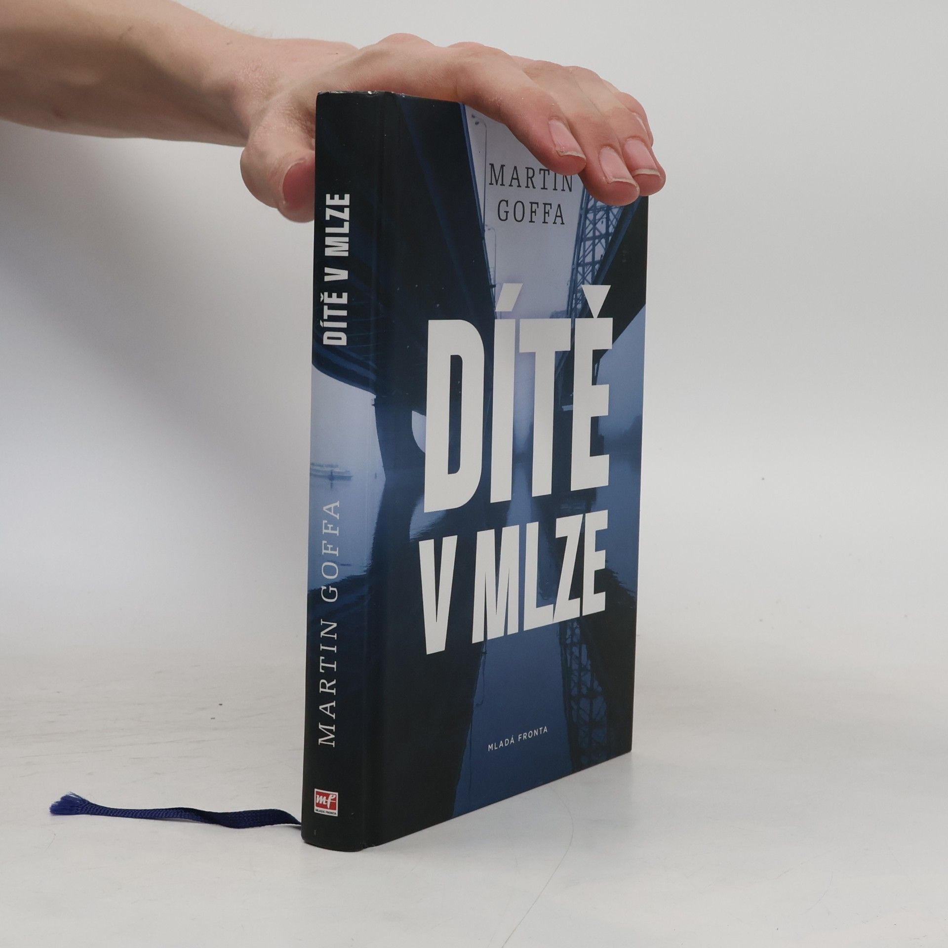 Martin Goffa Dítě v mlze