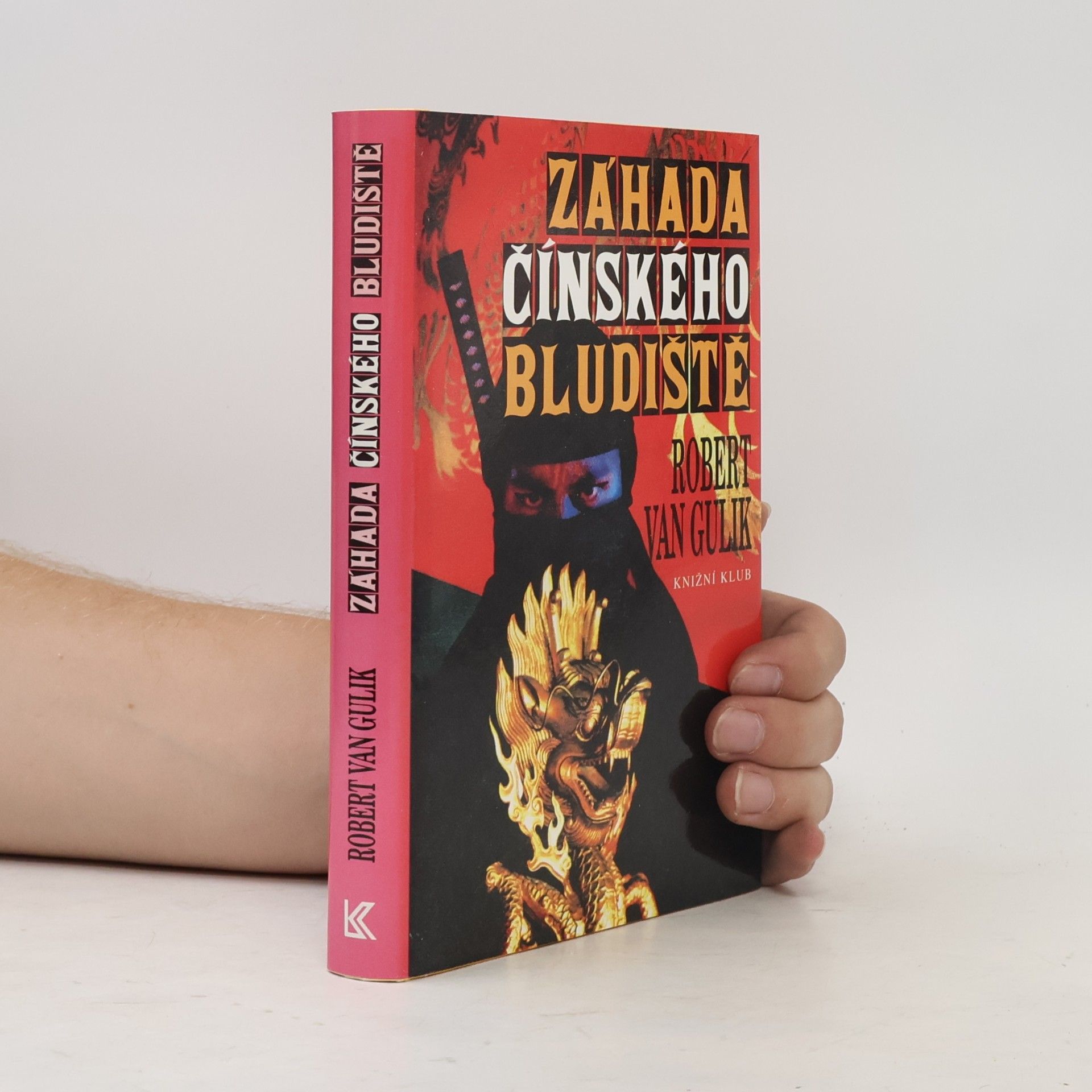 Záhada čínského bludiště