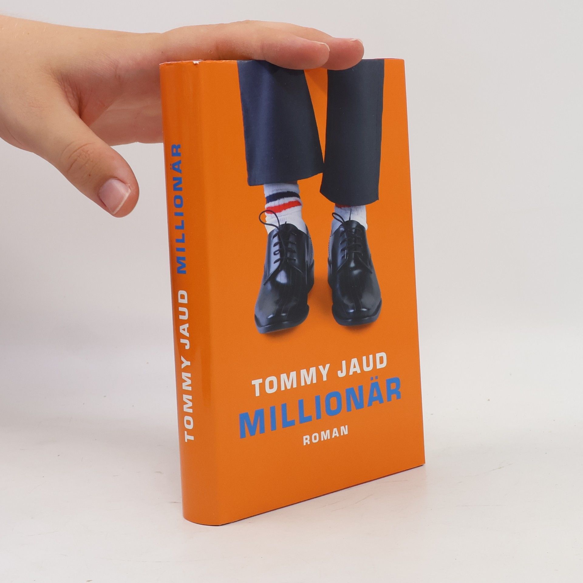 Tommy Jaud Millionär