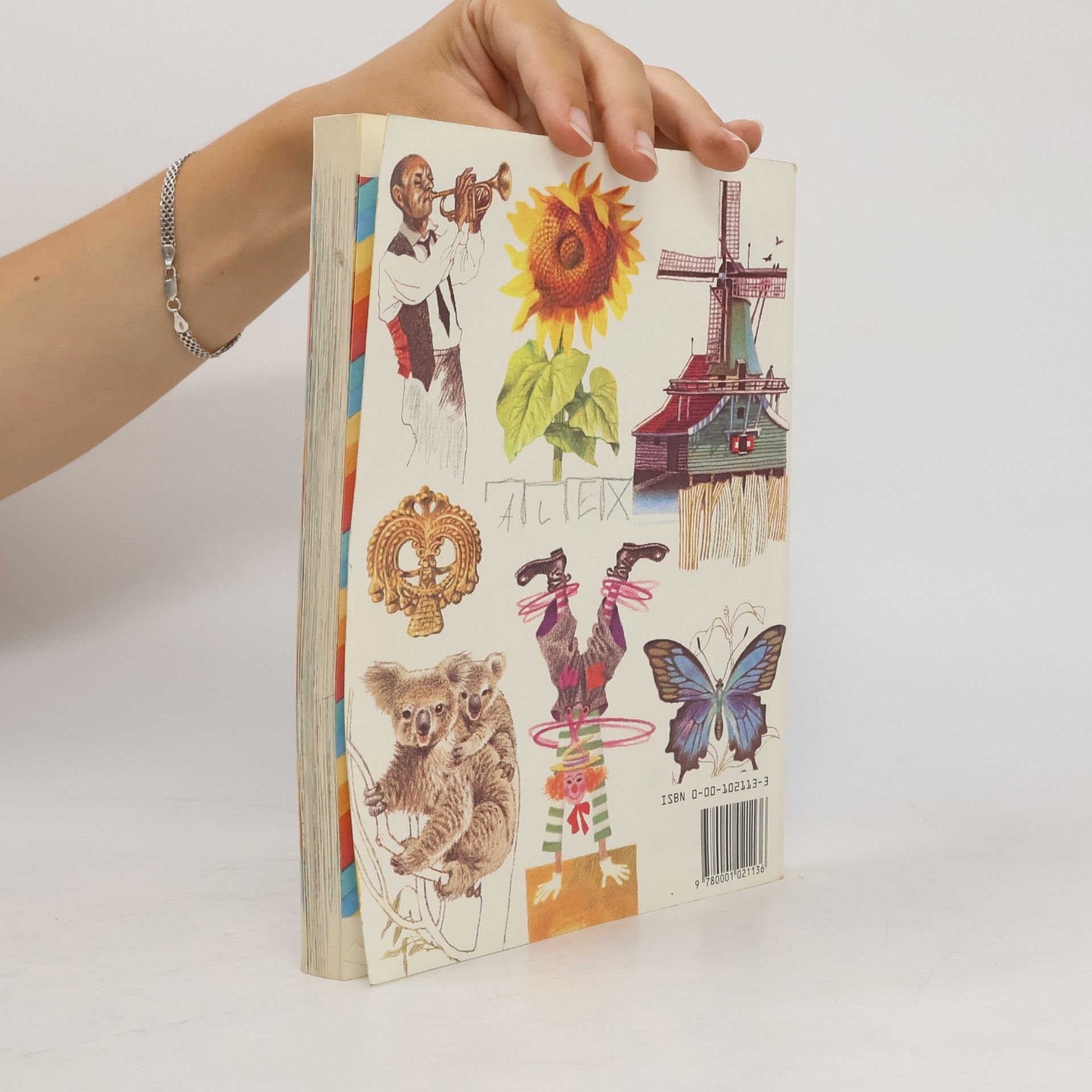 David Smith Children's Dictionary