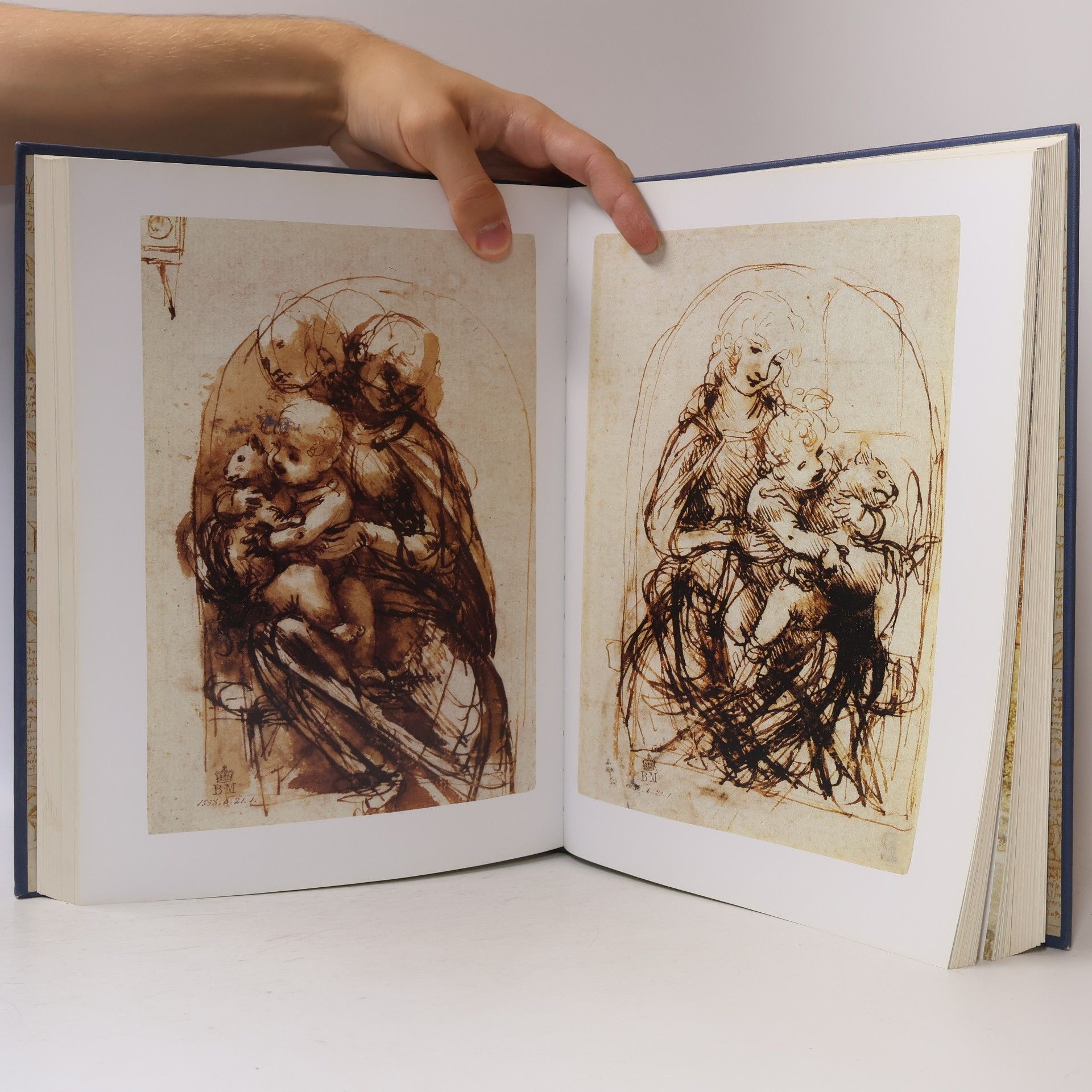 Daniel Arasse Leonardo da Vinci