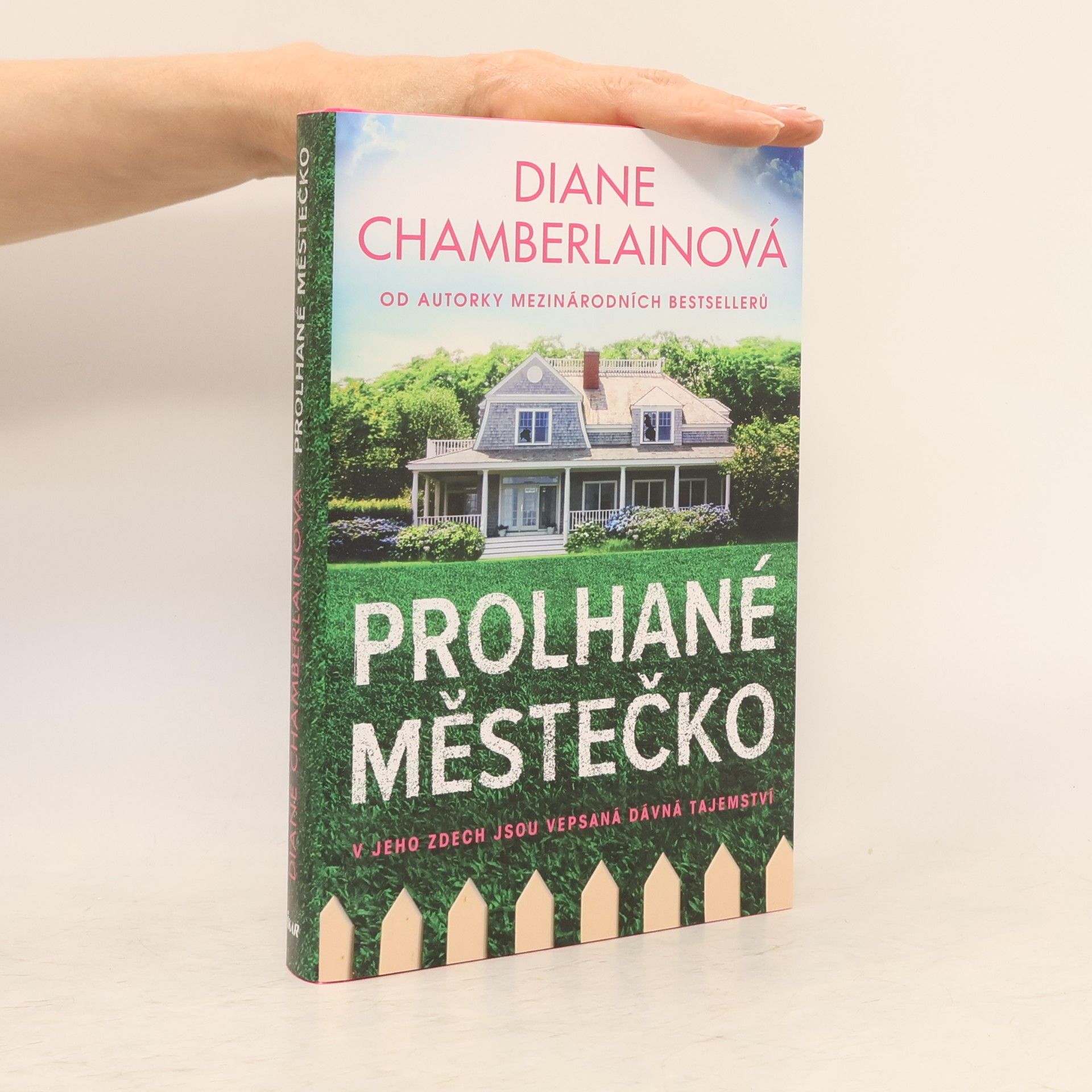 Diane Chamberlain Prolhané městečko
