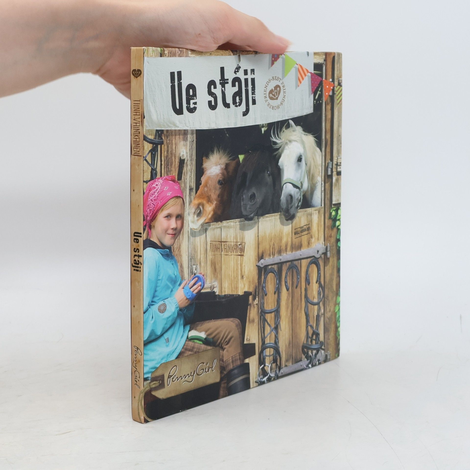 Tiina Vainikainen Ve stáji