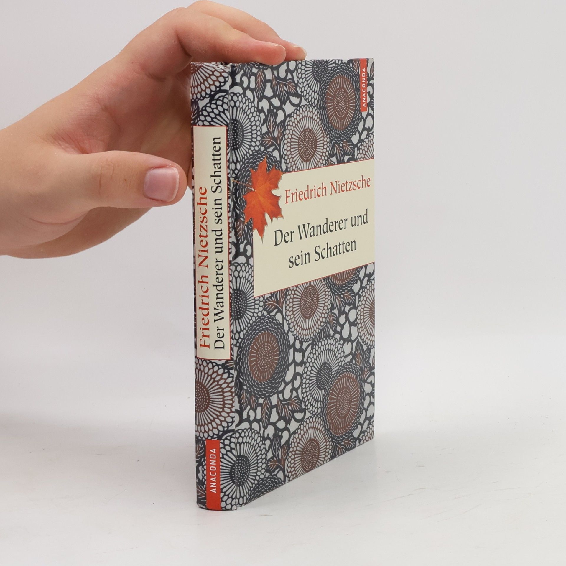 Friedrich Nietzsche Der Wanderer und sein Schatten
