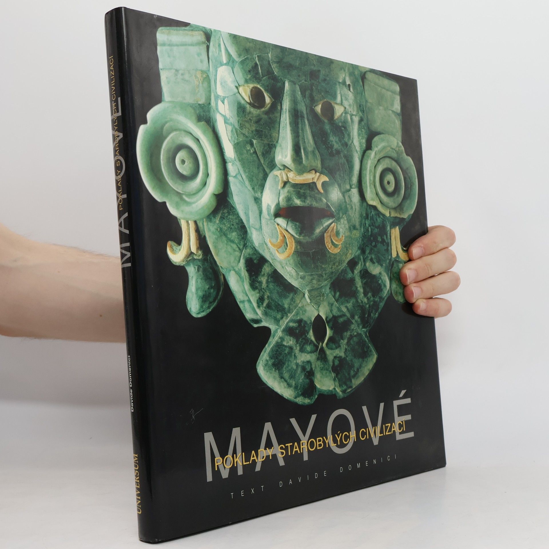 Davide Domenici Mayové. Poklady starobylých civilizací