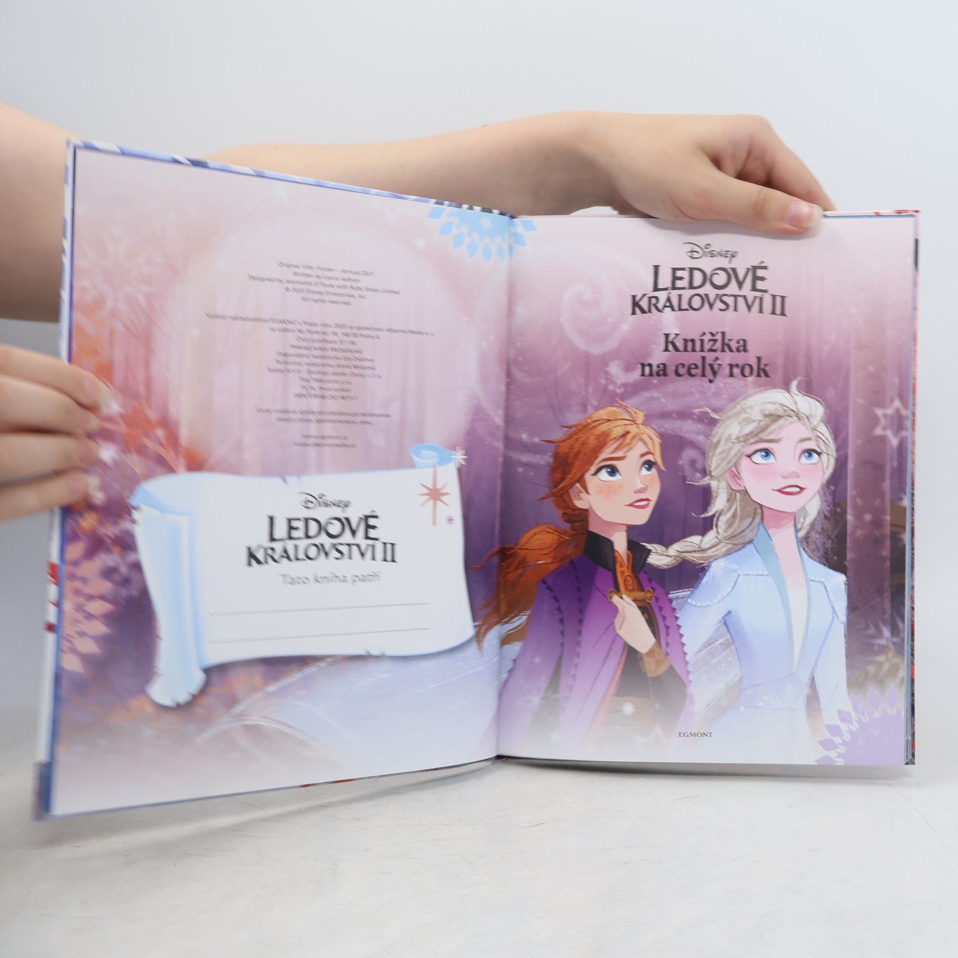 Laura Jackson Ledové království II. Knížka na celý rok