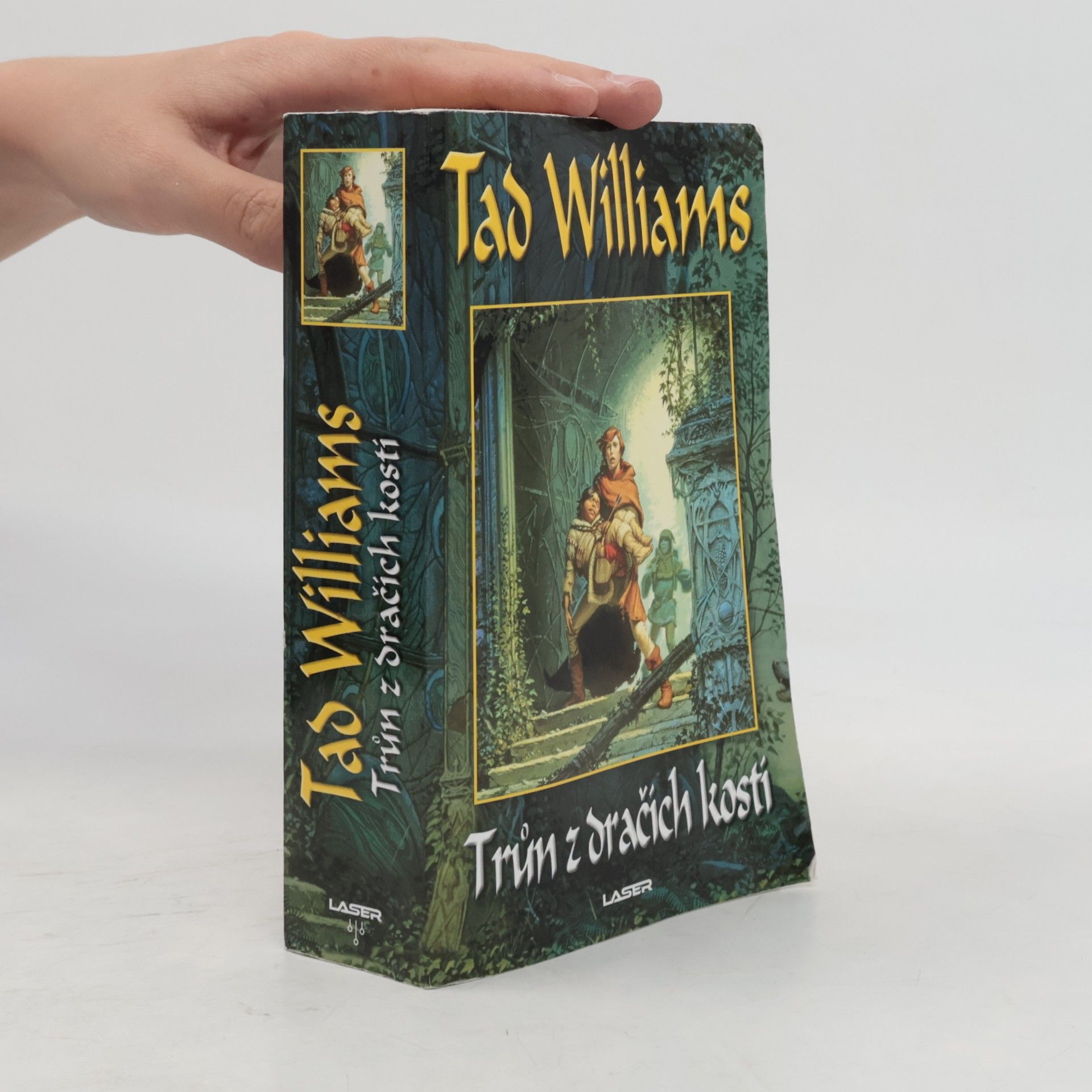 Tad Williams Jasný osten, žal a trn. První kniha trilogie, Trůn z dračích kostí