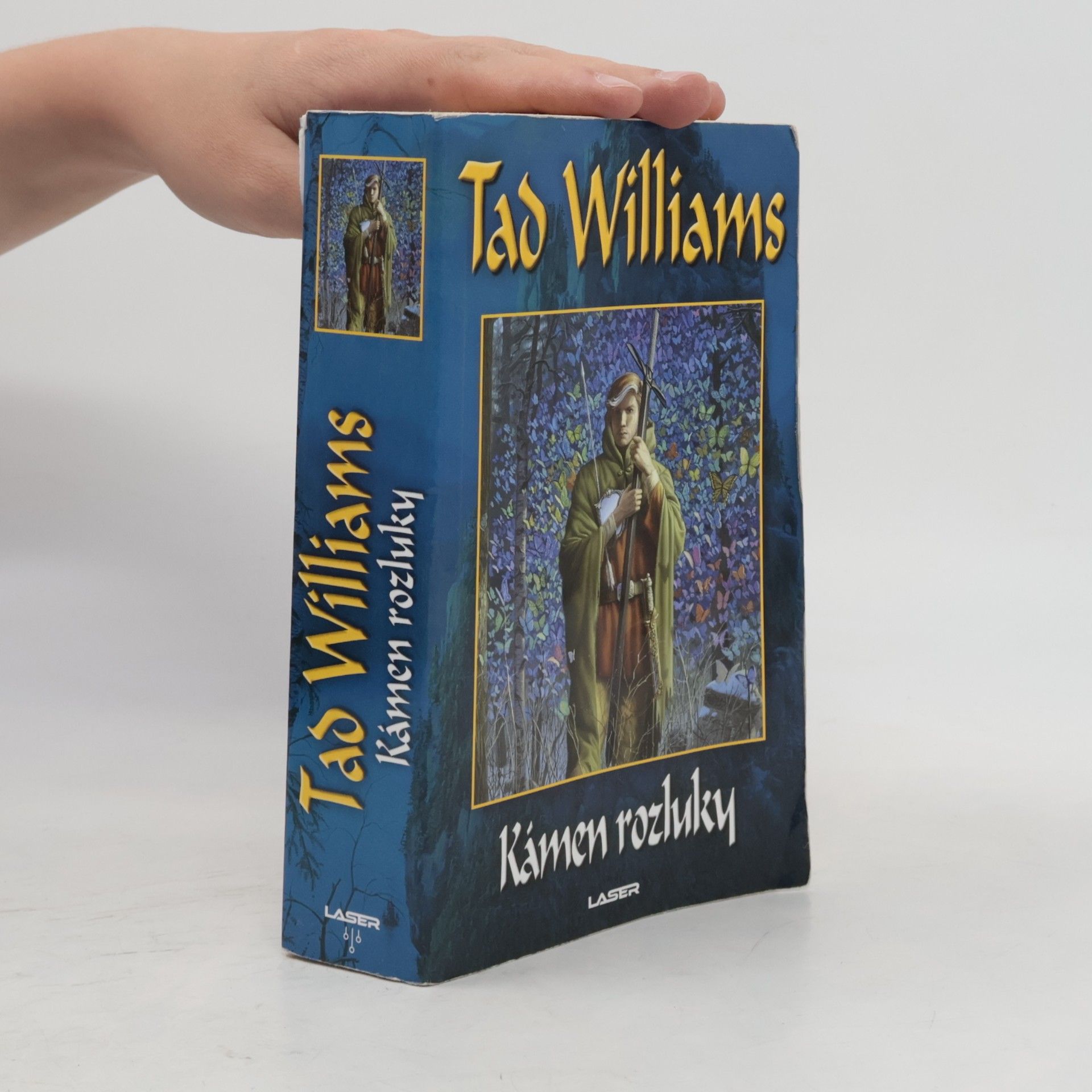 Tad Williams Kámen rozluky