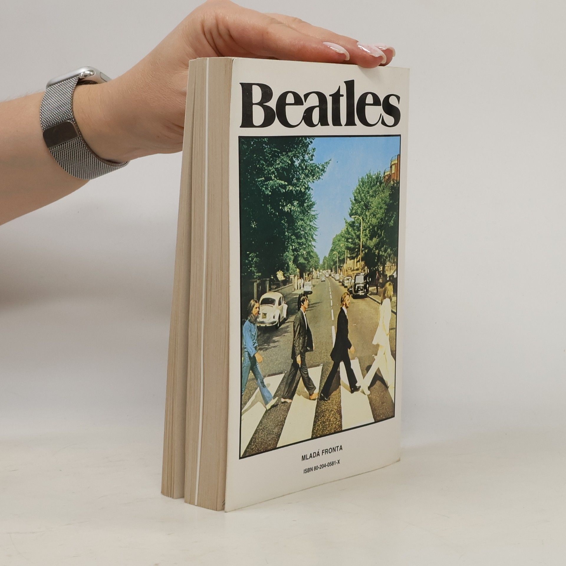 Antonín Matzner Beatles. Výpověď o jedné generaci