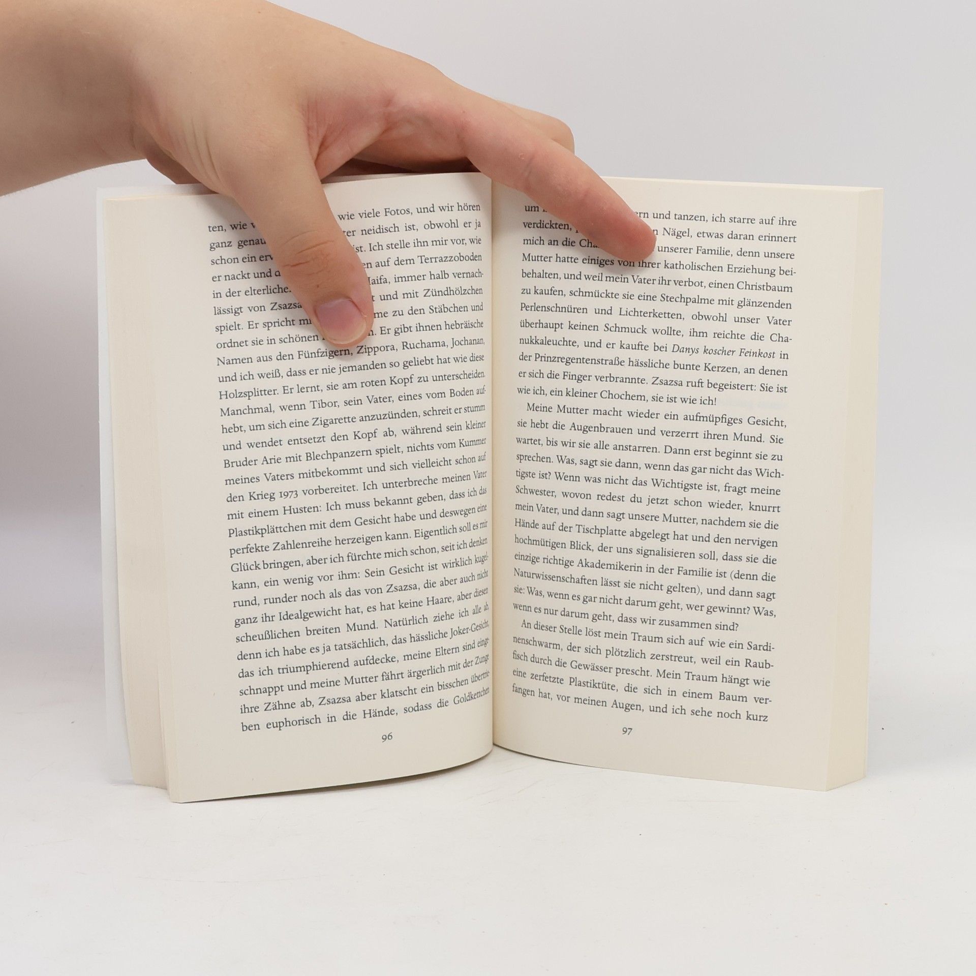 Hans-Egon Hass Ironie als literarisches Phänomen