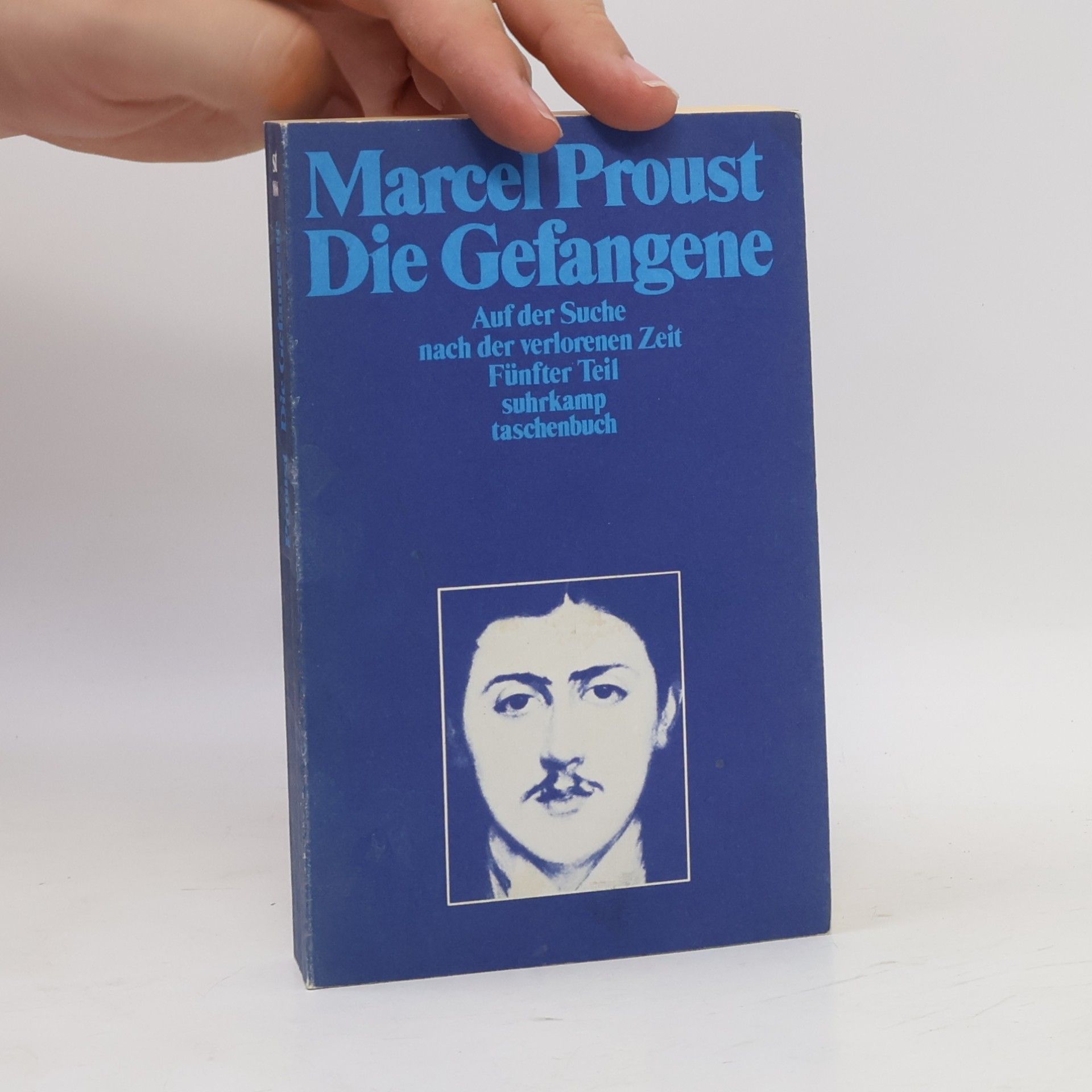 Marcel Proust Die Gefangene. Auf der Suche nach der verlorenen Zeit