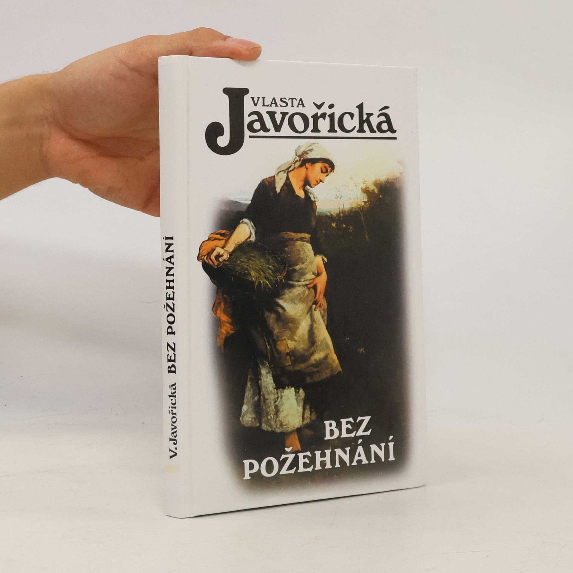 Bez požehnání : povídky