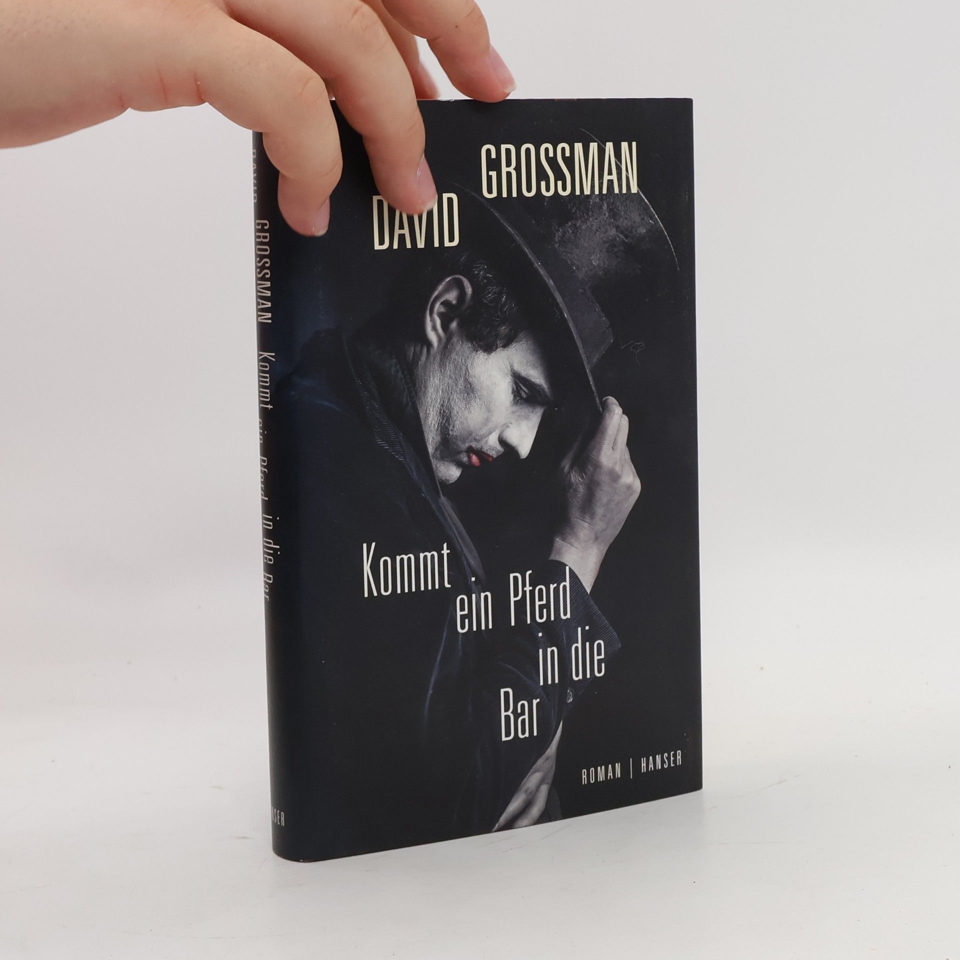 David Grossman Kommt ein Pferd in die Bar