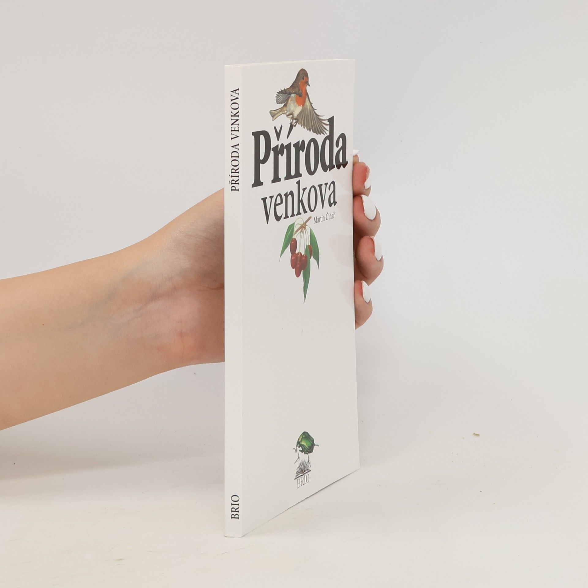 Grigorij Borisovič Jagdfeld Příroda venkova
