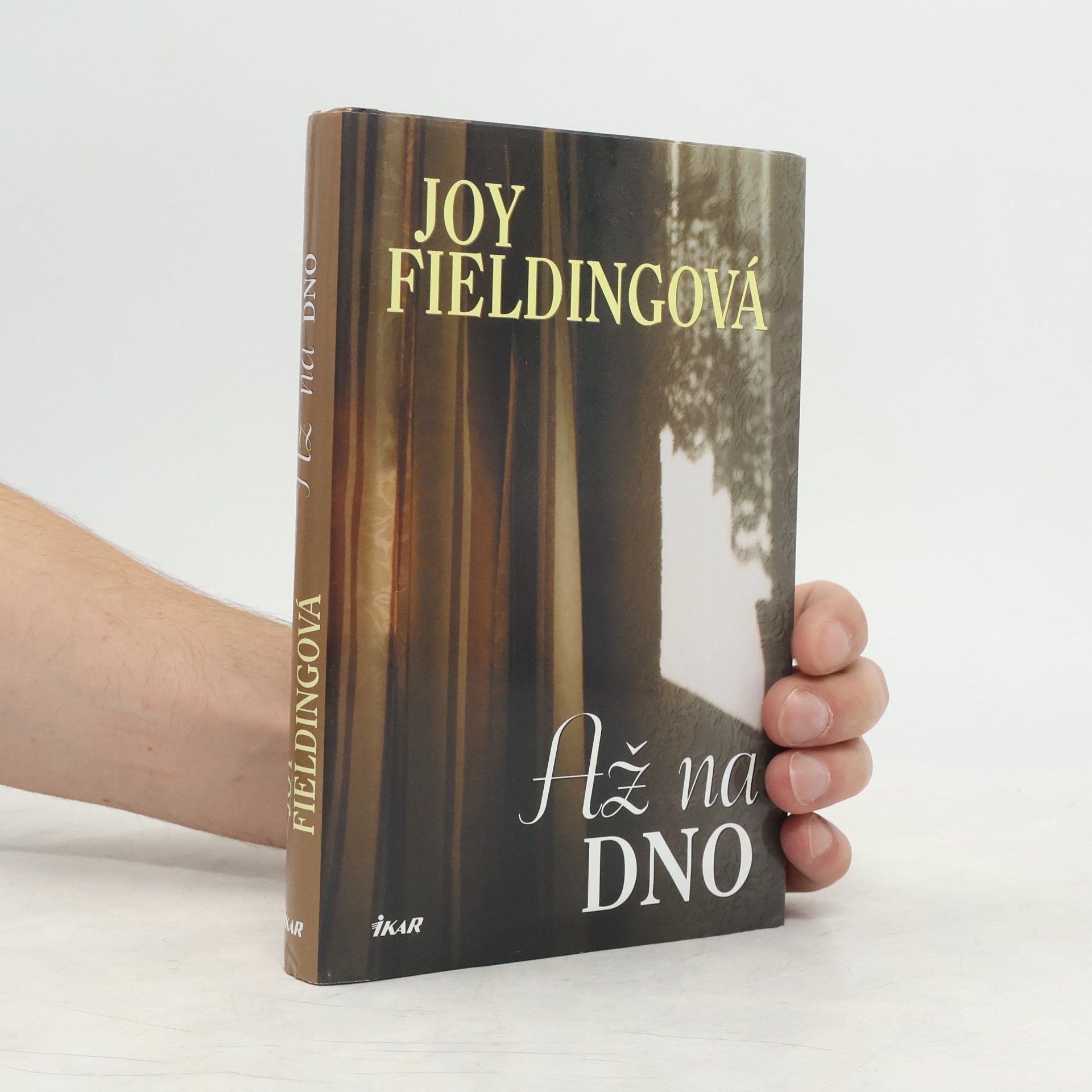 Joy Fielding Až na dno