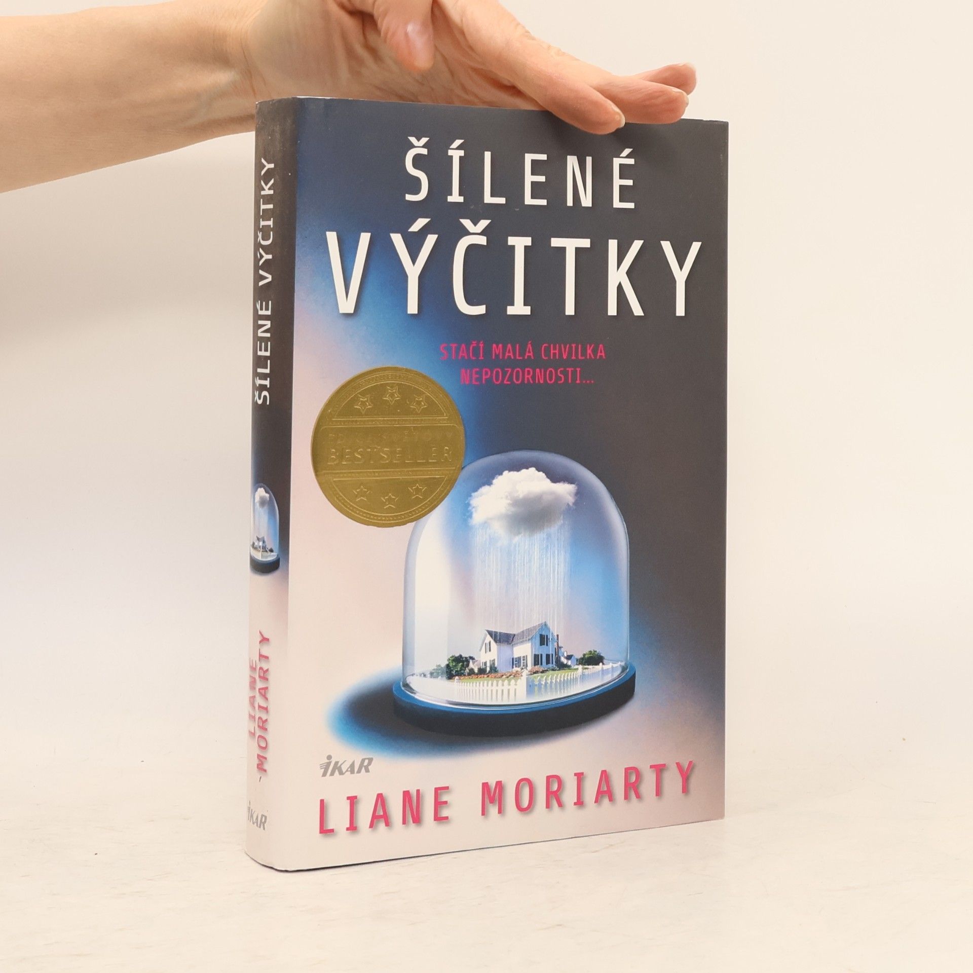 Šílené výčitky