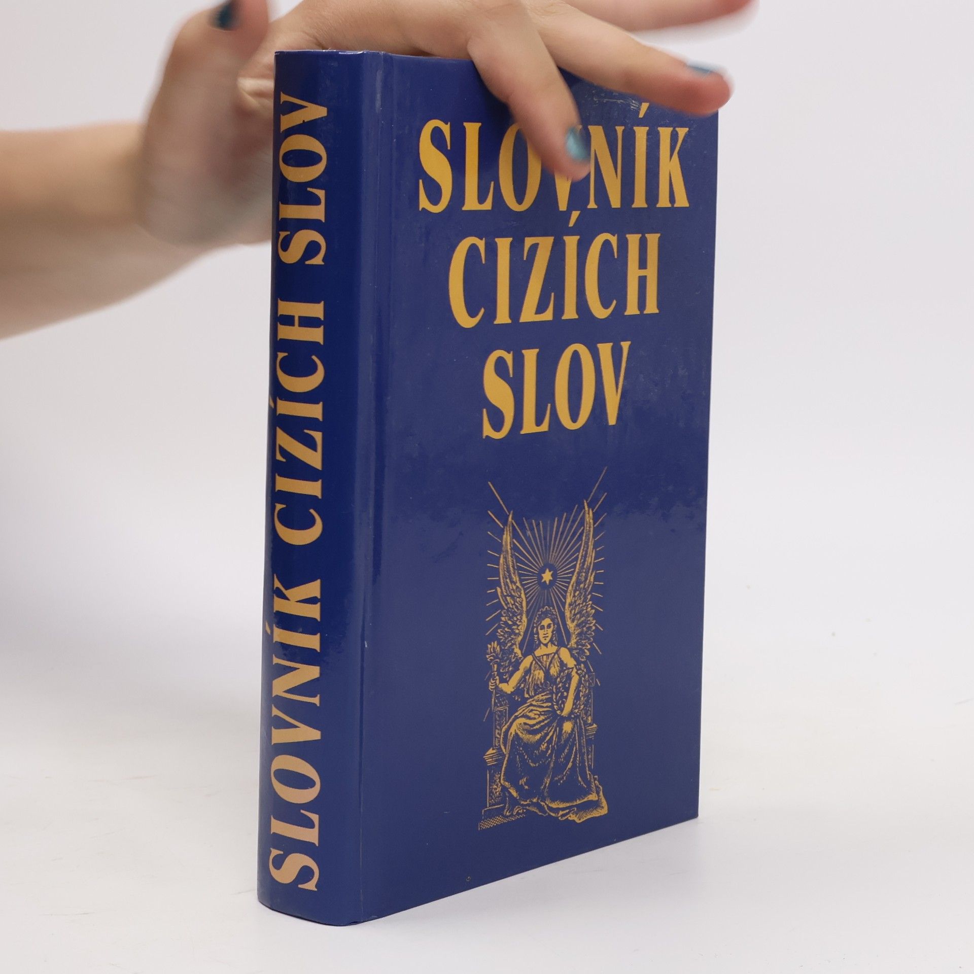 Kolektív autorov Slovník cizích slov
