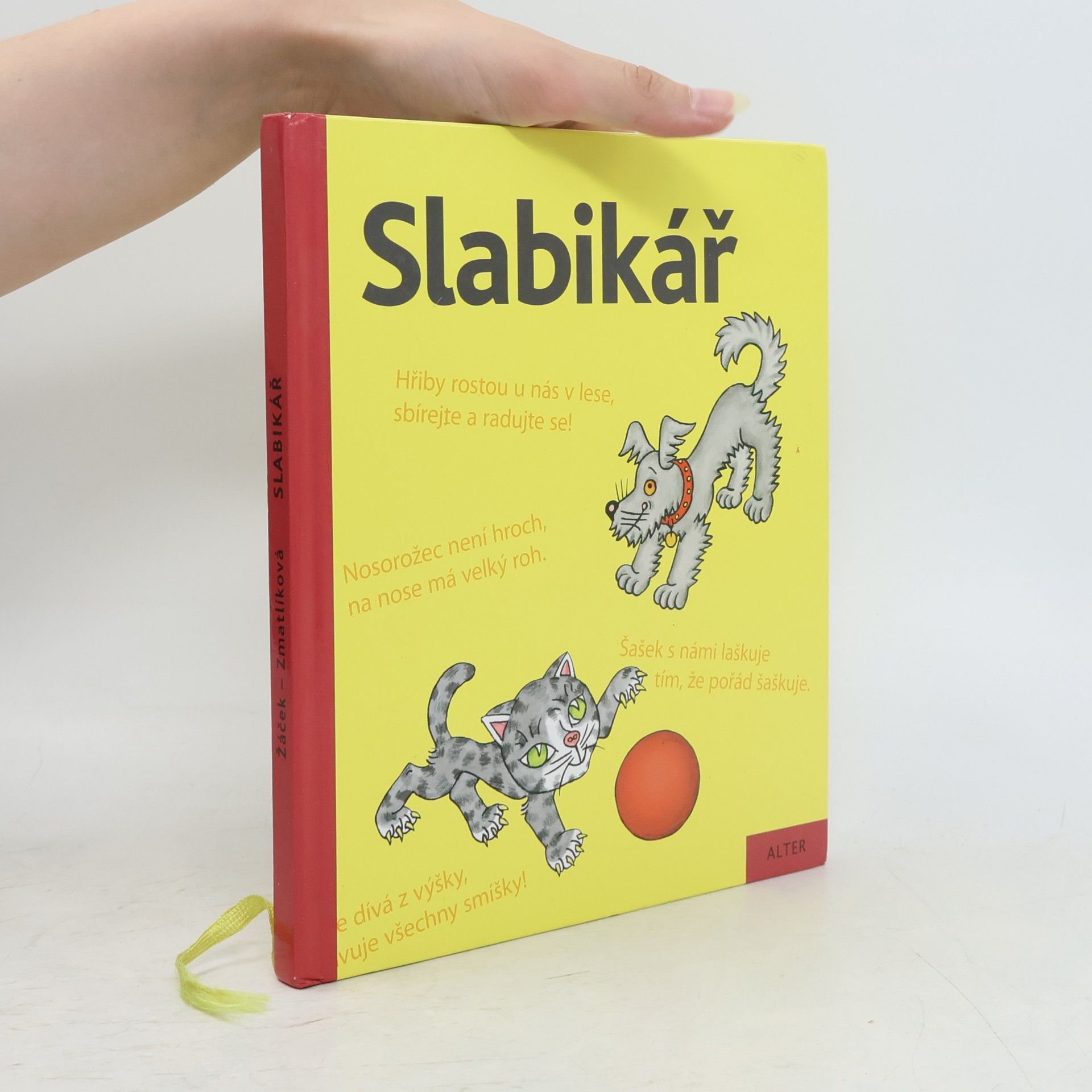 Helena Zmatlíková Slabikář : učebnice pro vzdělávací obor Český jazyk a literatura