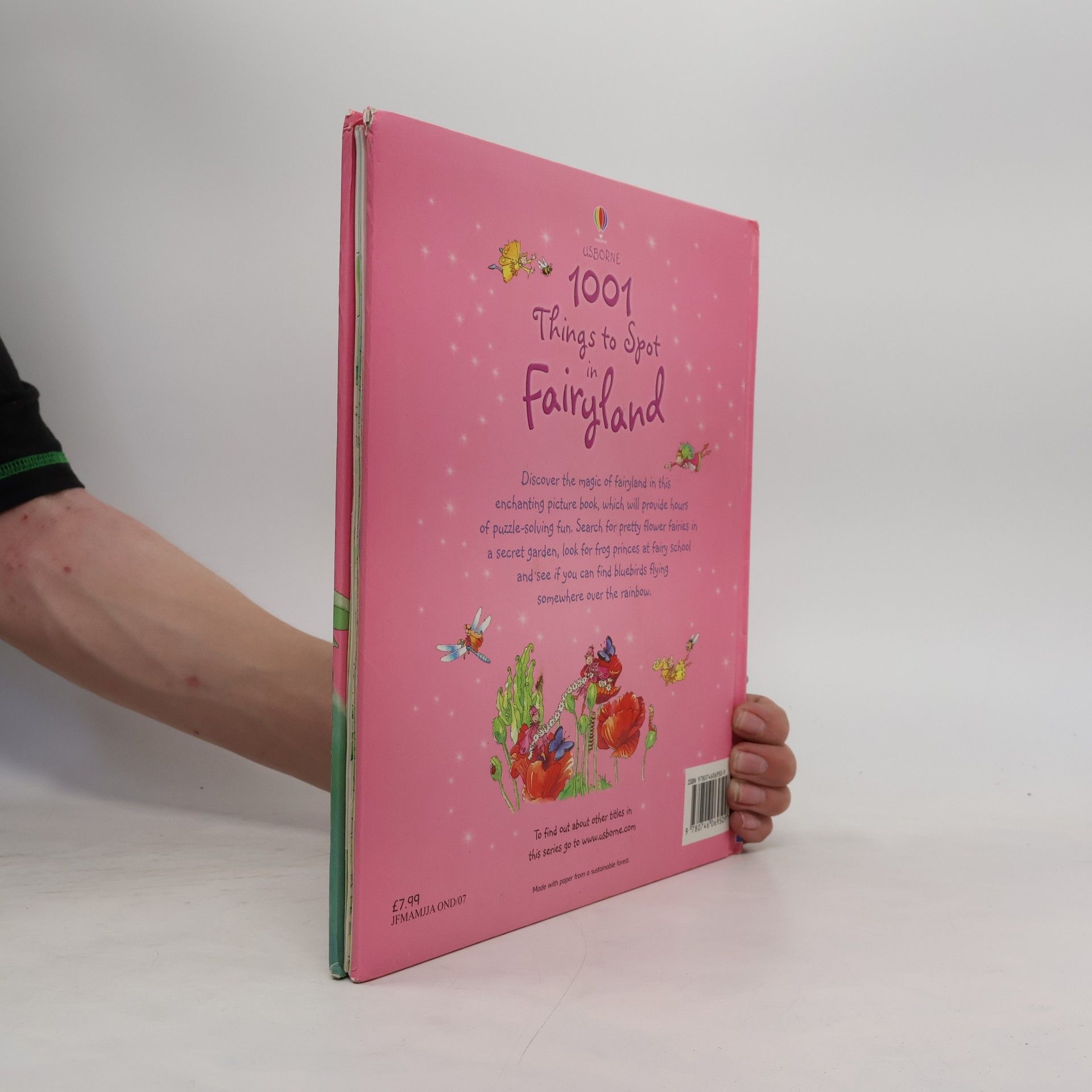 Gillian Doherty 1001 Things to Spot in Fairyland