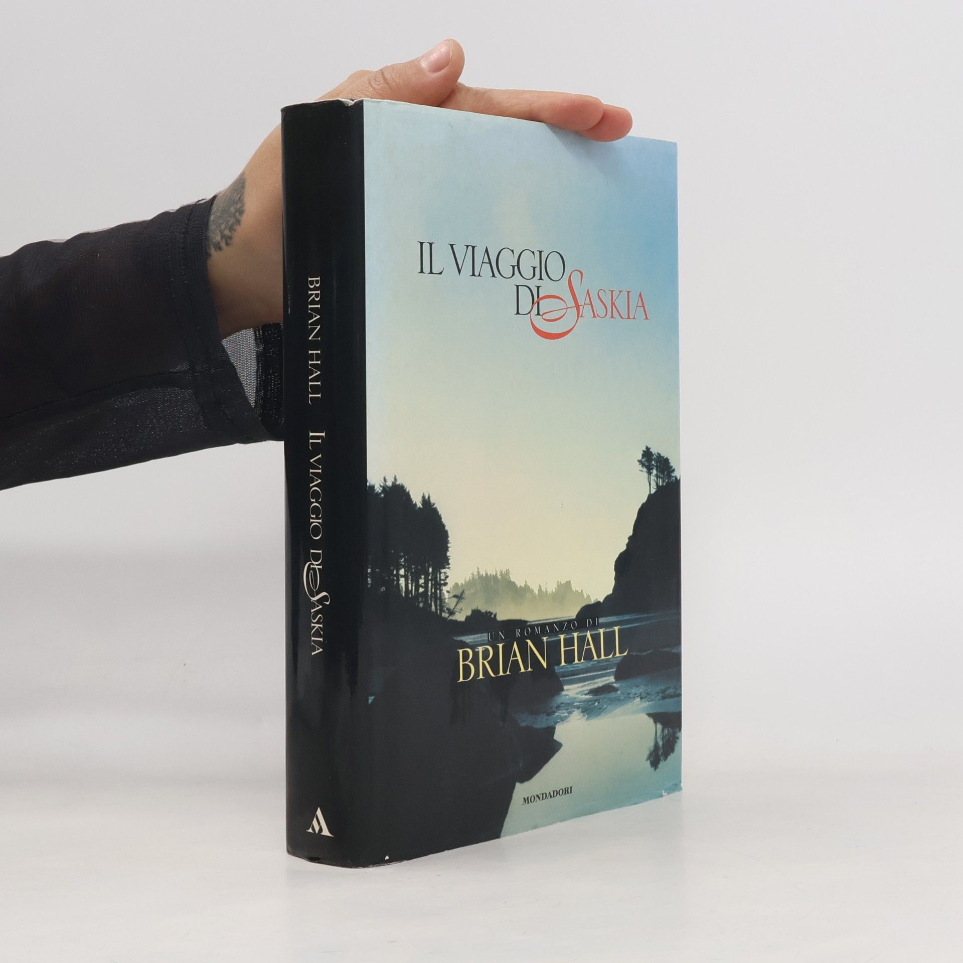 Brian Hall Il viaggio di Saskia