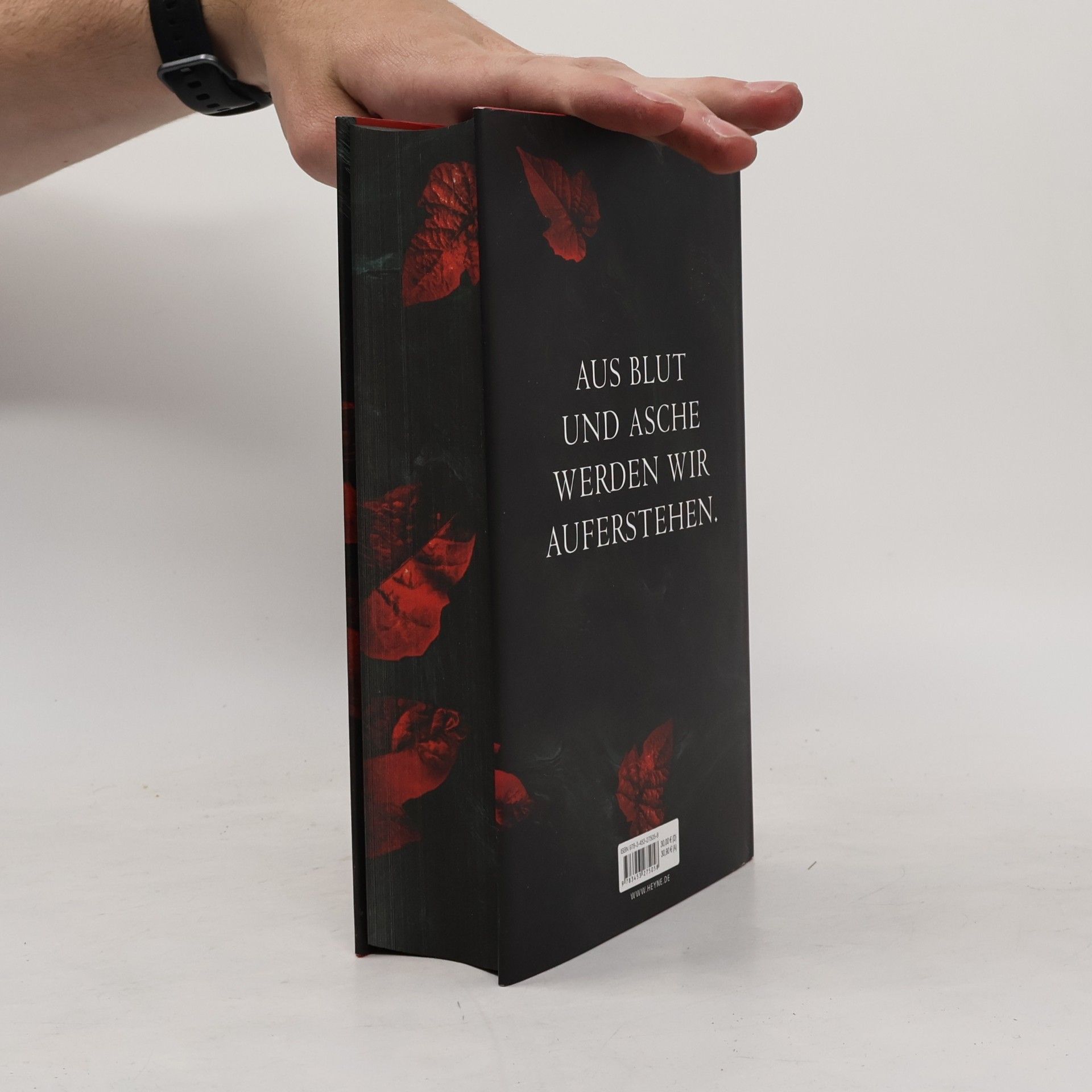 Jennifer Armentrout Blood and Ash / Liebe kennt keine Grenzen Bd.1
