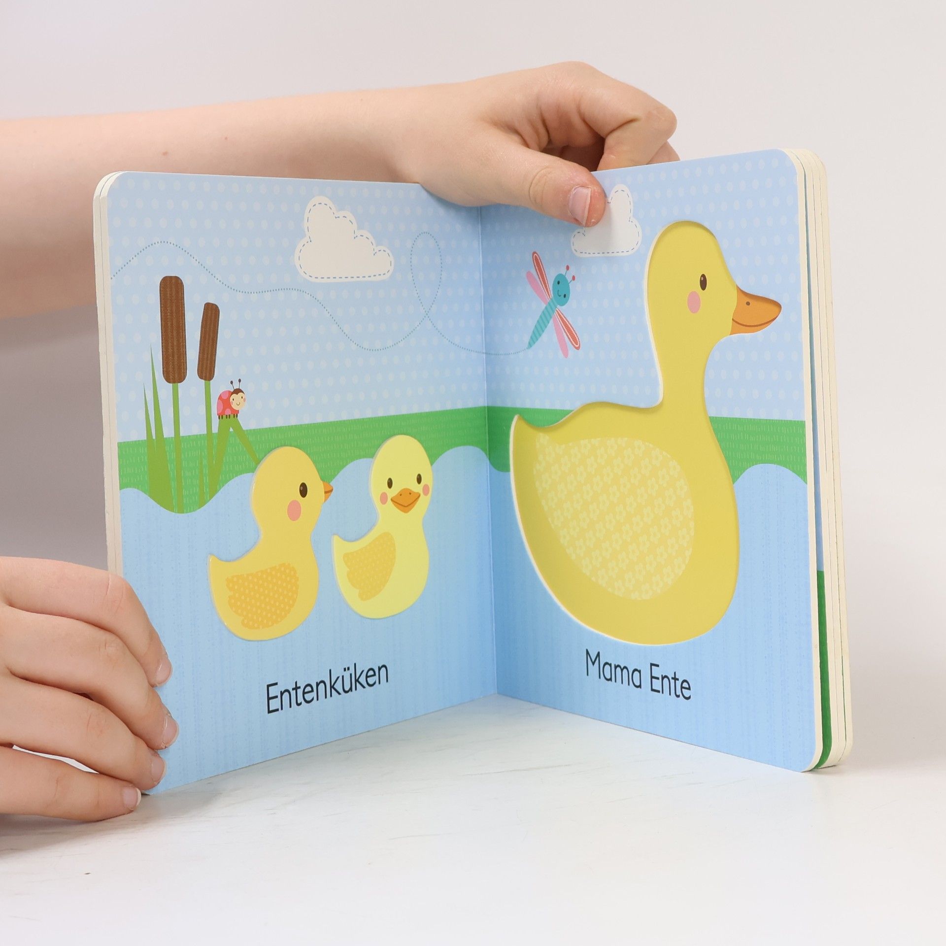 Various authors Meine Tierkinder